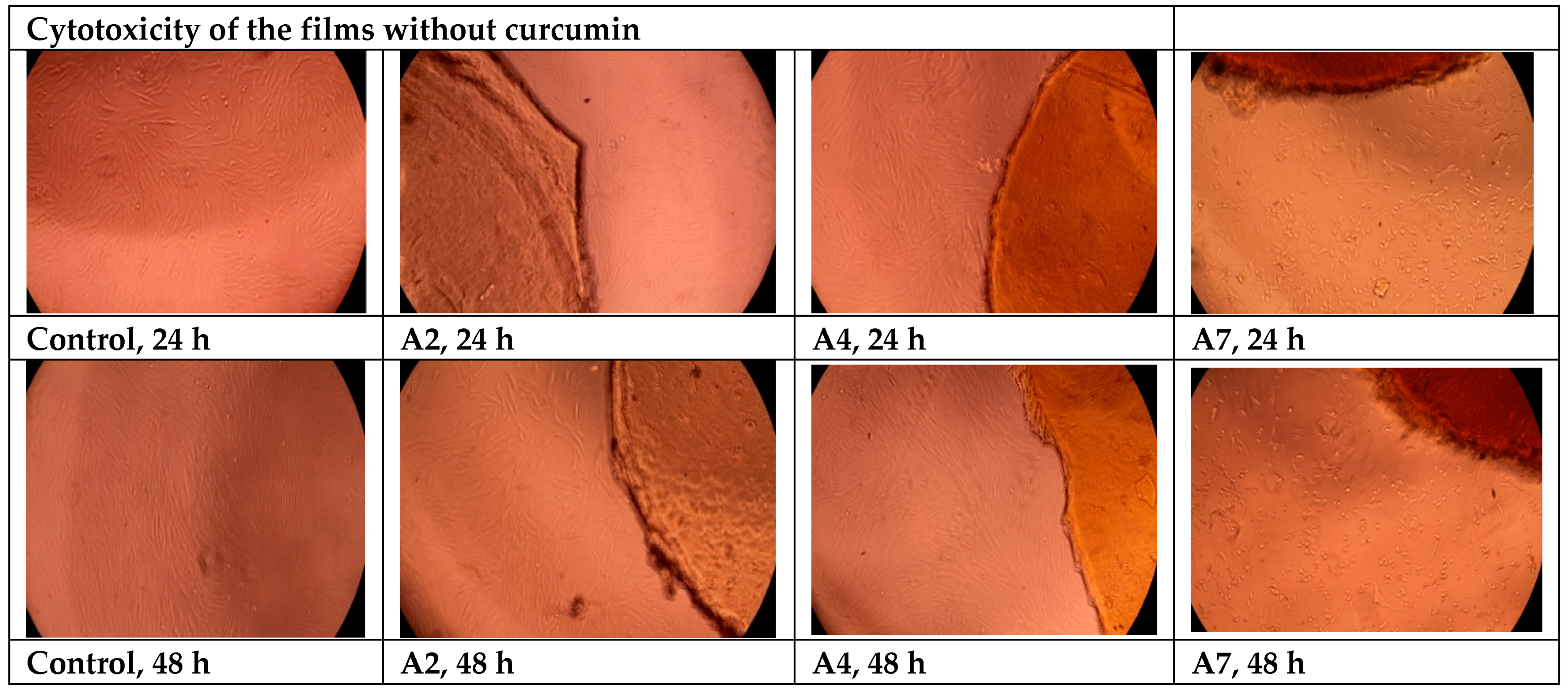 Polymers 16 01631 g015