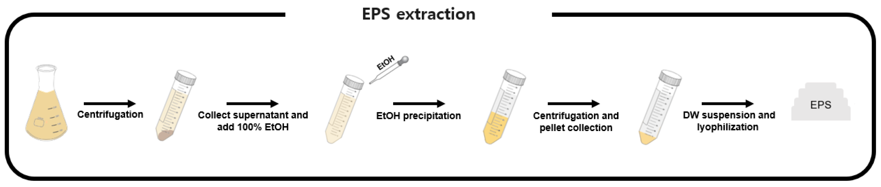 Polymers 16 01639 g001