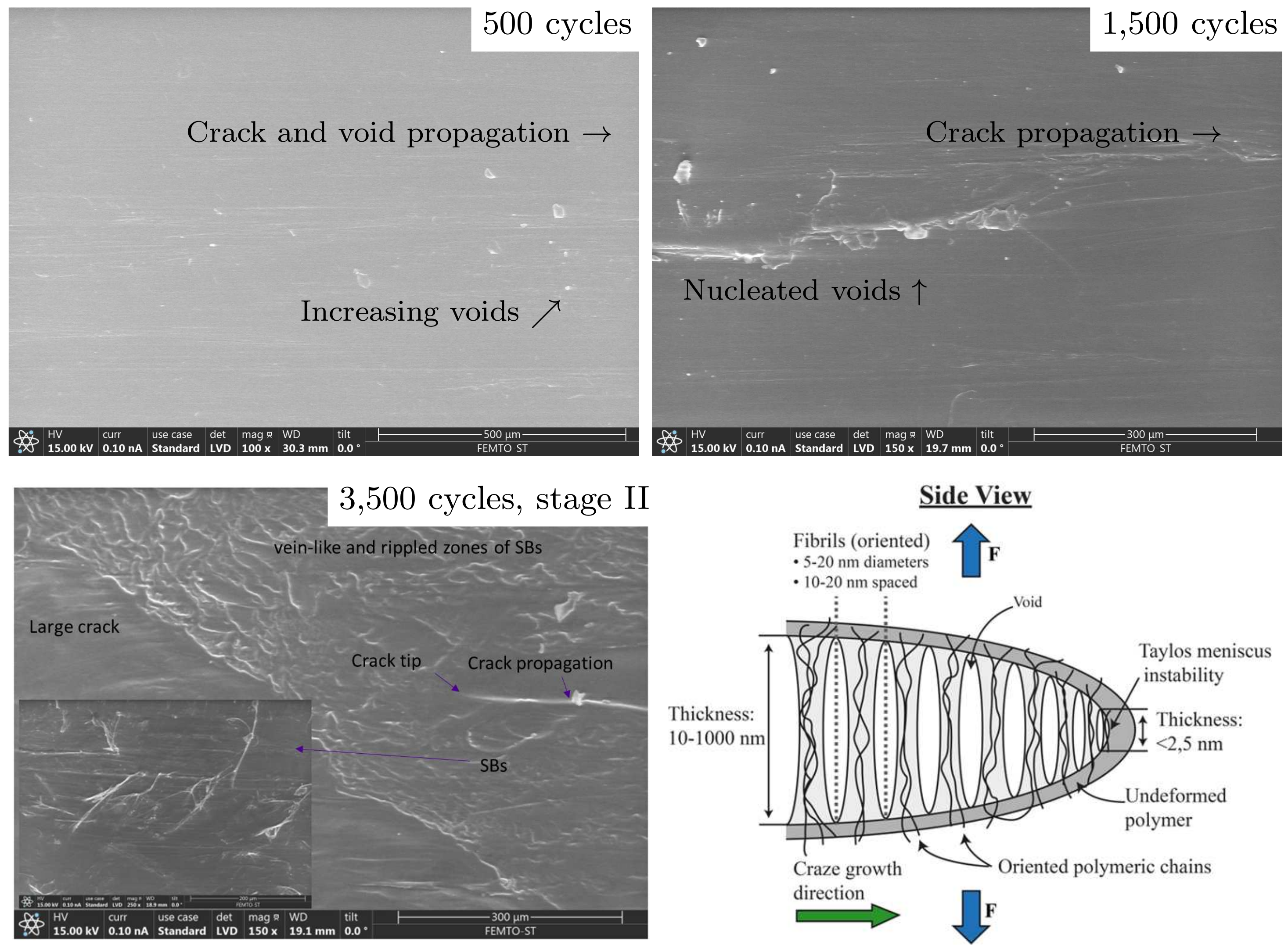 Polymers 16 01640 g016 Polymers 16 01640 g016