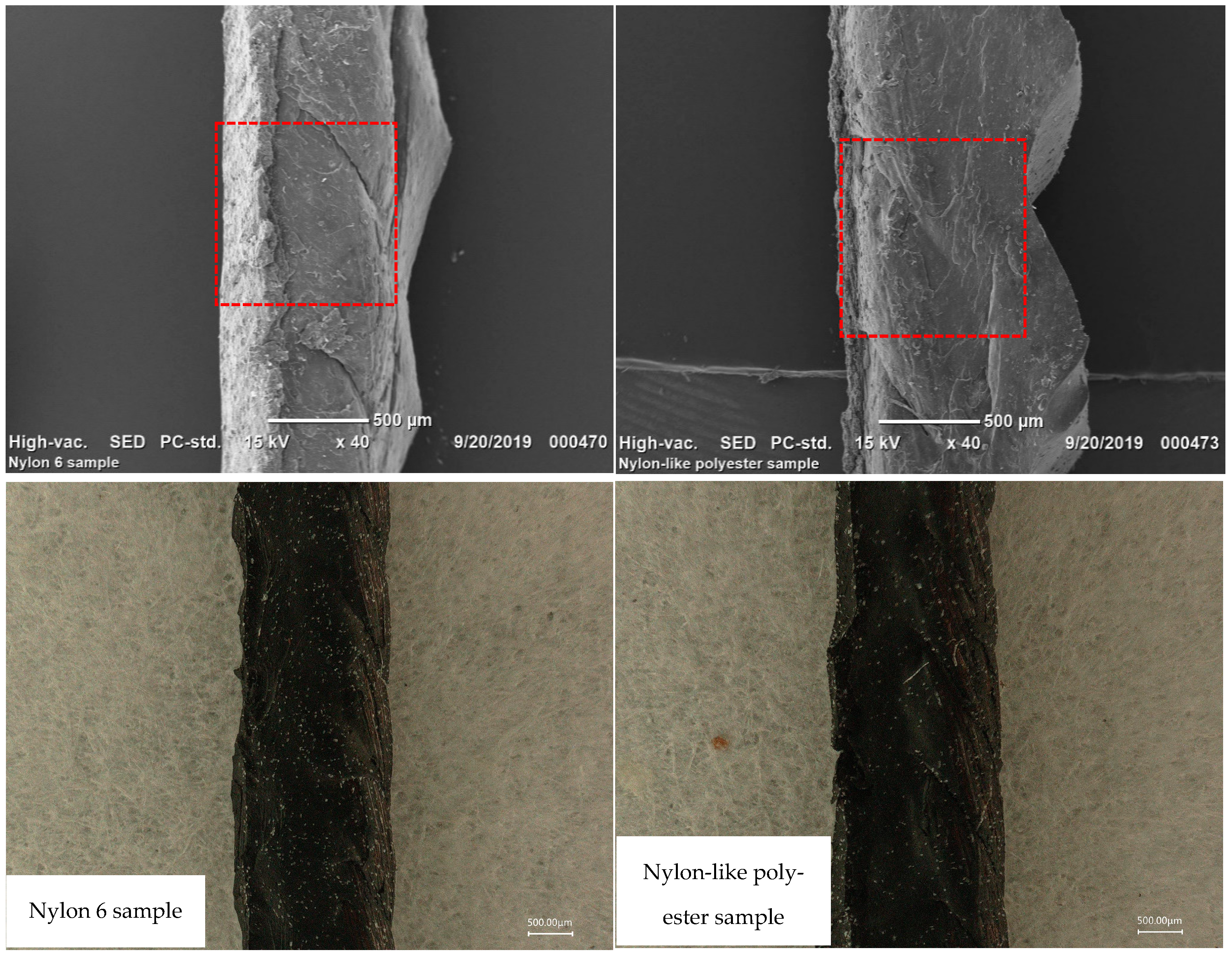 Polymers 16 01645 g007