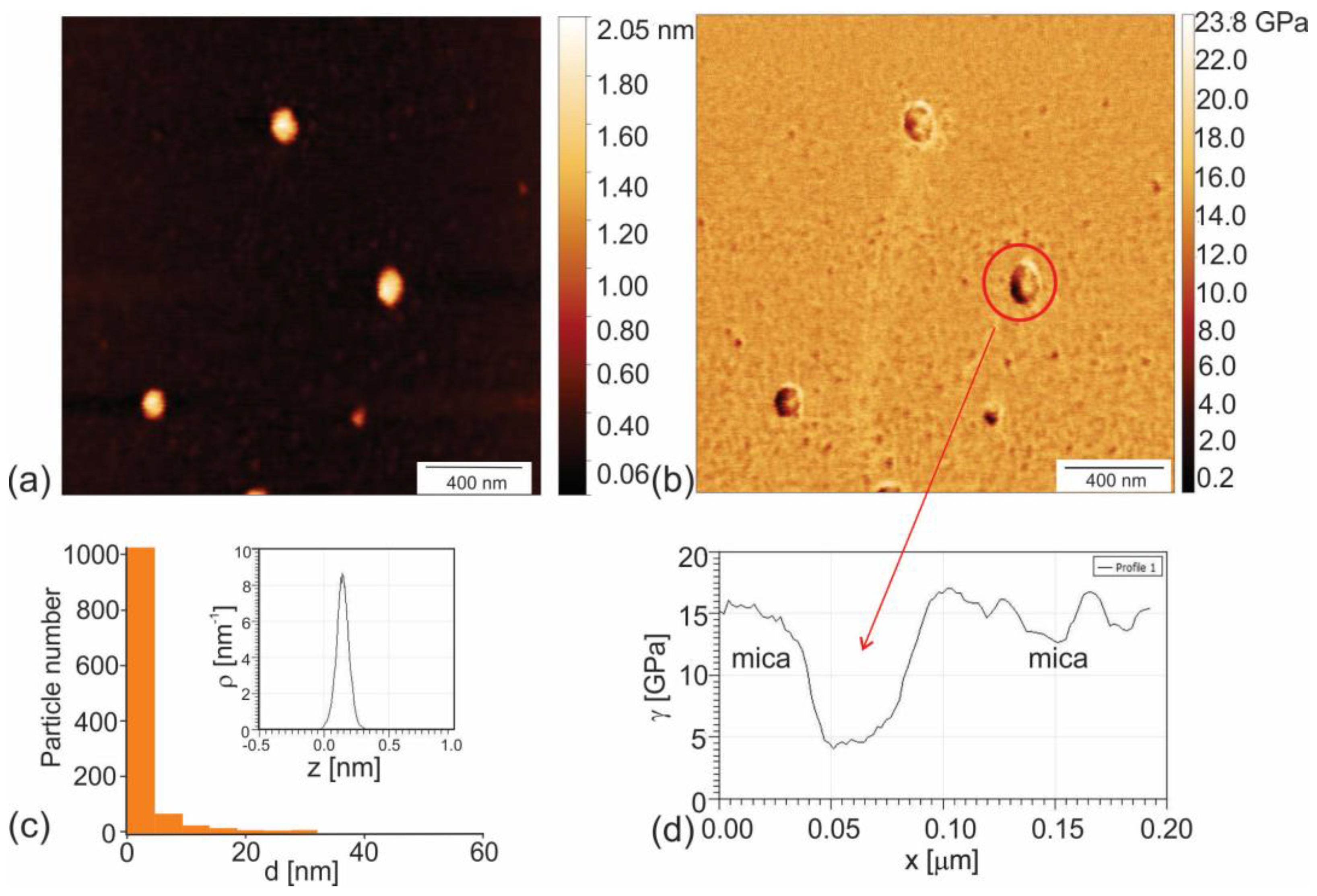 Paper image for Phloroglucinol-Based Carbon Quantum Dots/Polyurethane Composite Films: How Structure of Carbon Quantum Dots Affects Antibacterial and Antibiofouling Efficiency of Composite Films