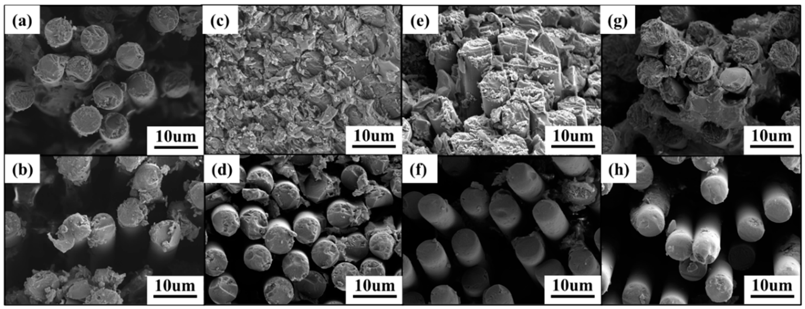 Polymers 16 01649 g007