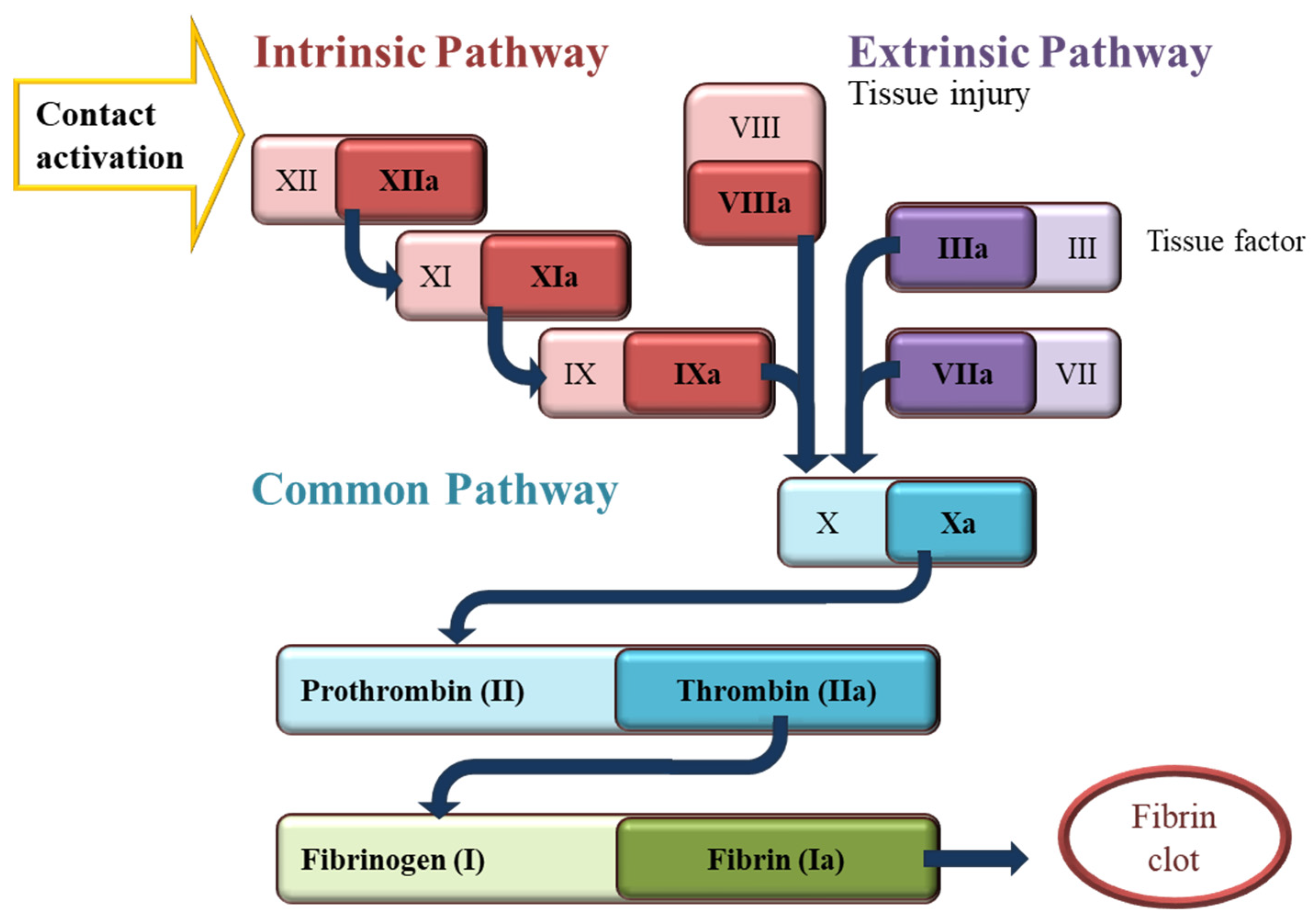 Polymers 16 01654 g001
