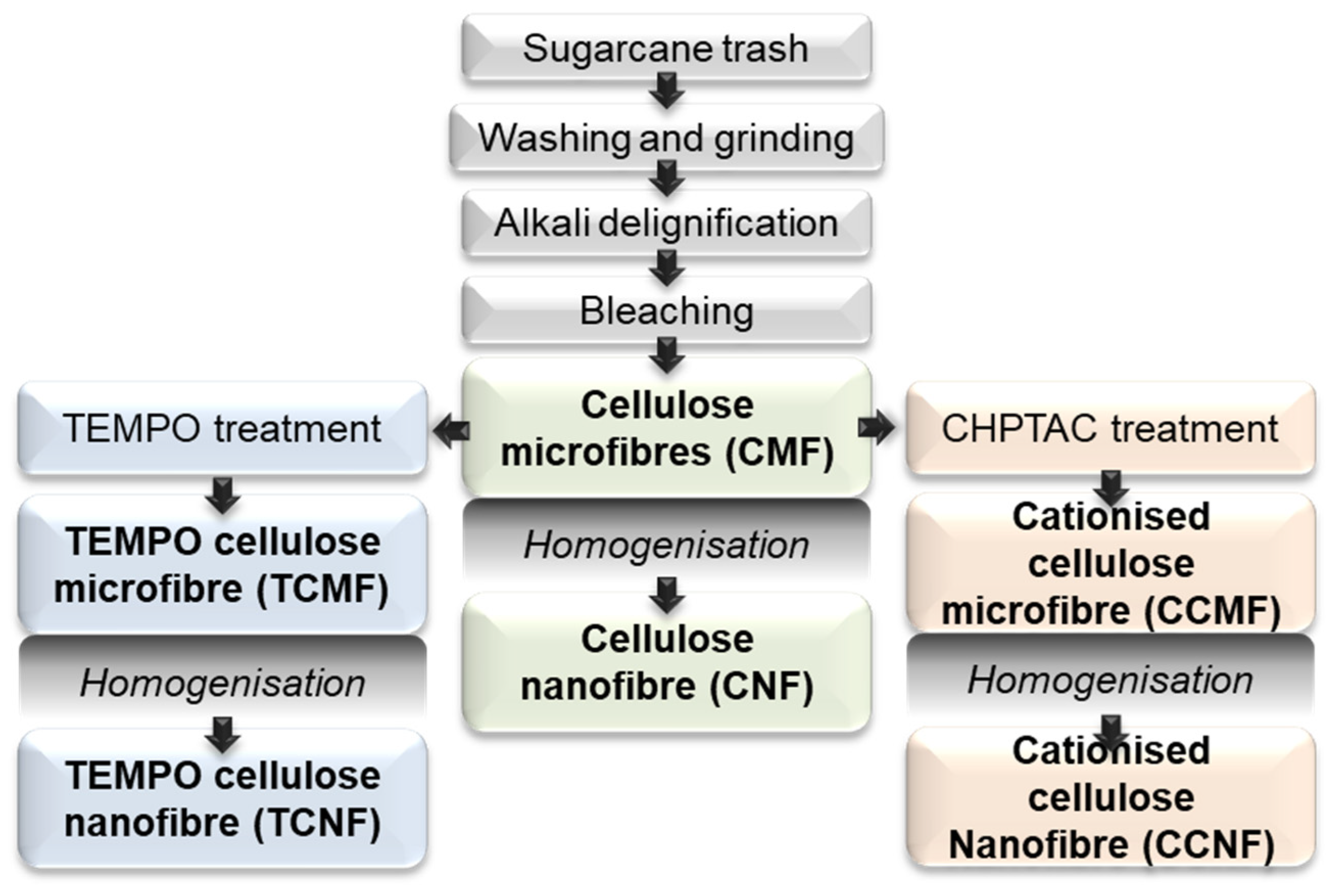 Polymers 16 01654 g002