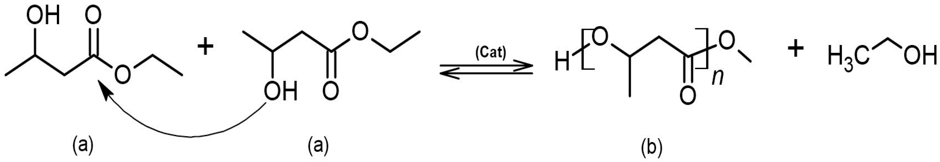 Polymers 16 01655 g005