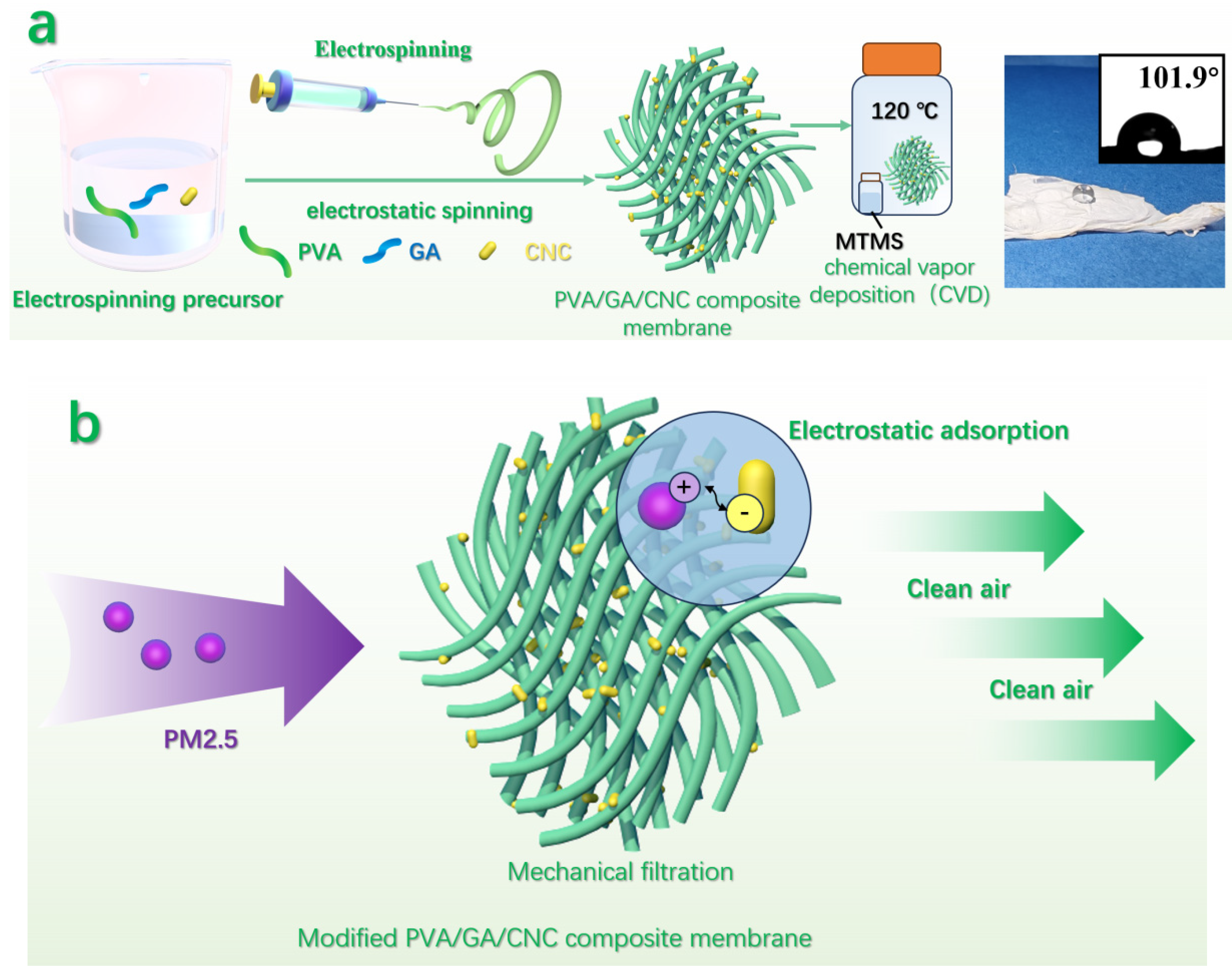 Polymers 16 01656 g002