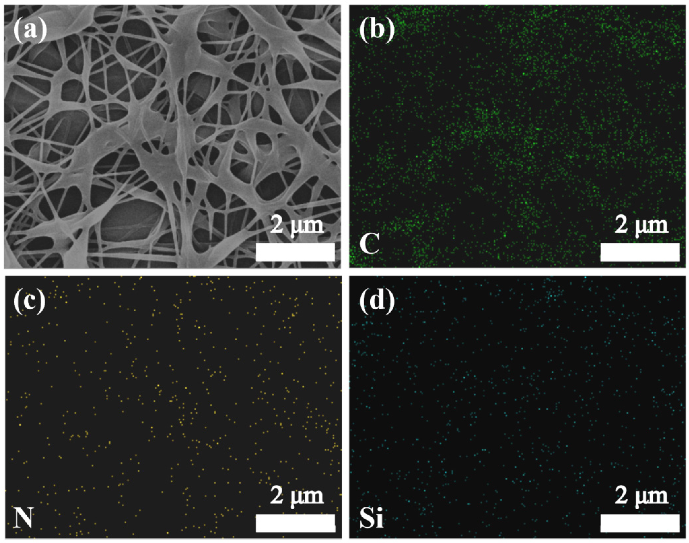 Polymers 16 01656 g004