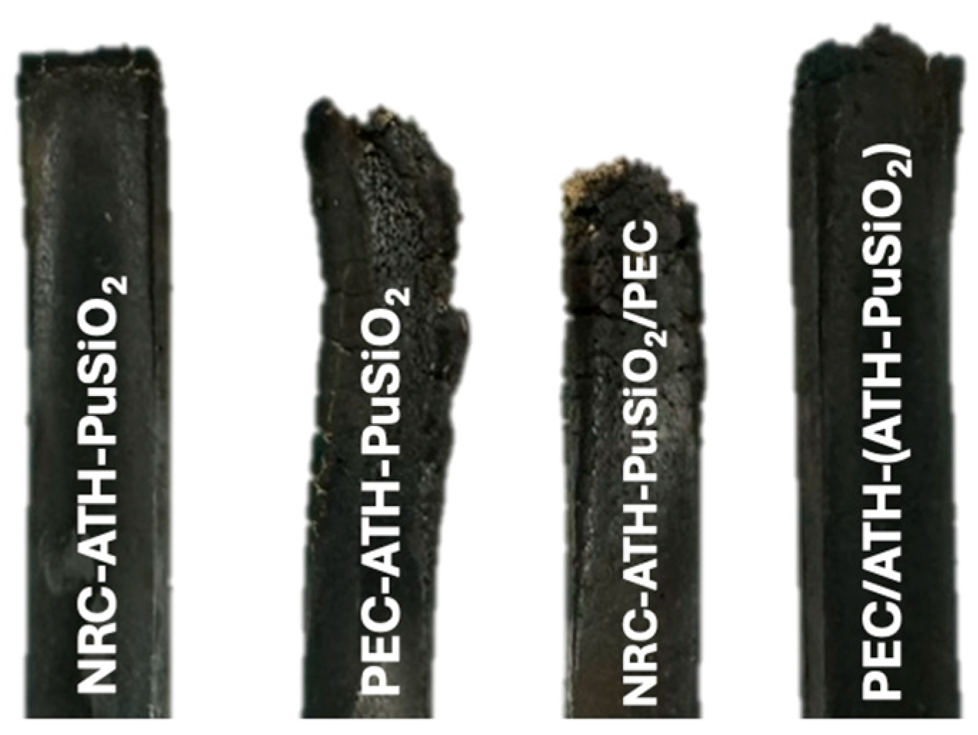 Polymers 16 01657 g007