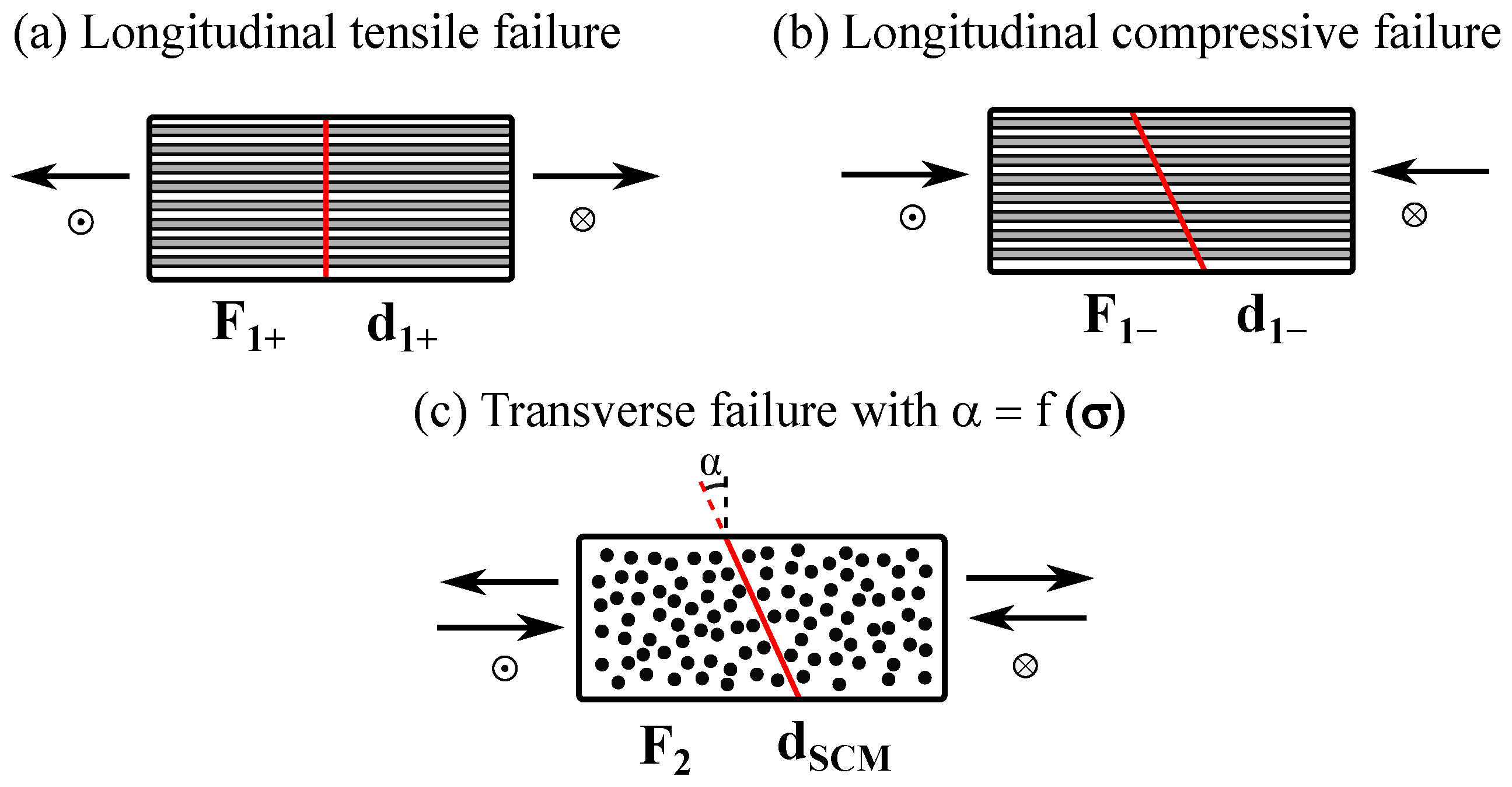 Polymers 16 01659 g001