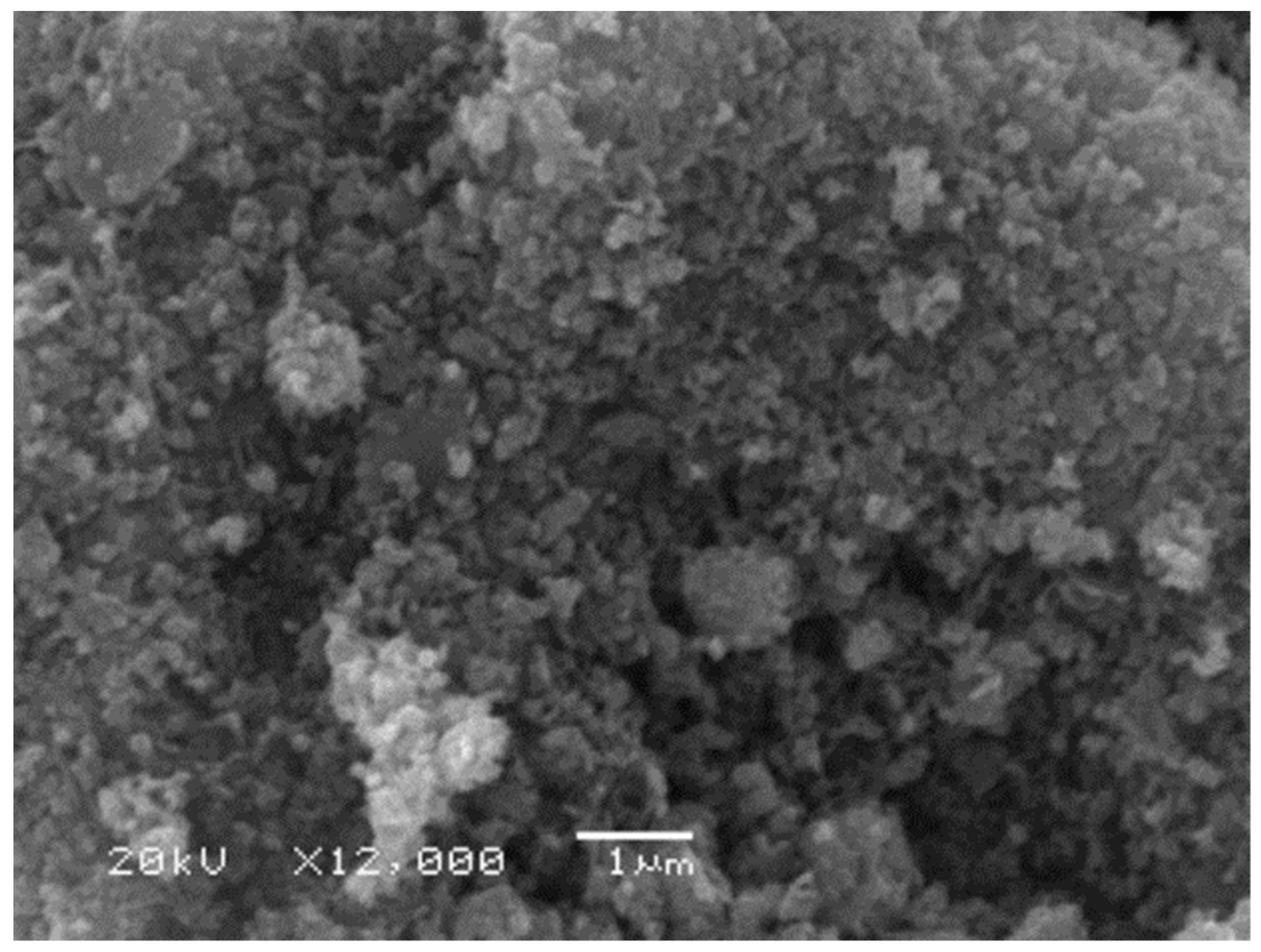 Polymers 16 01660 g001