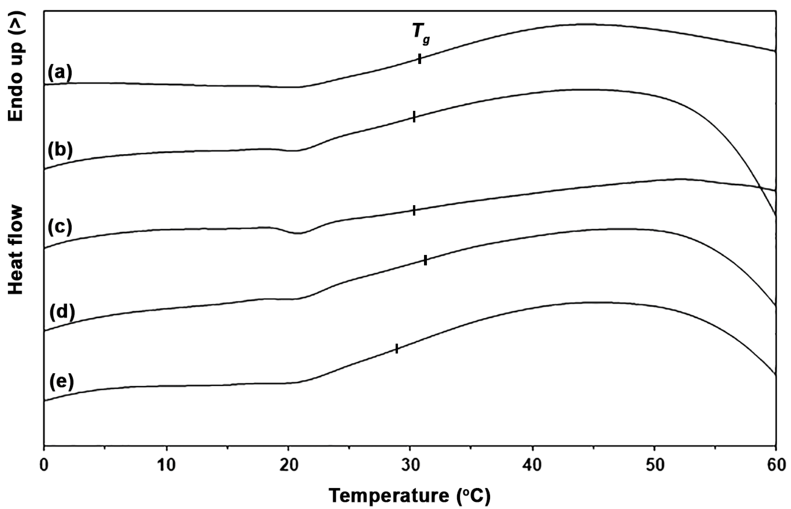 Polymers 16 01660 g003