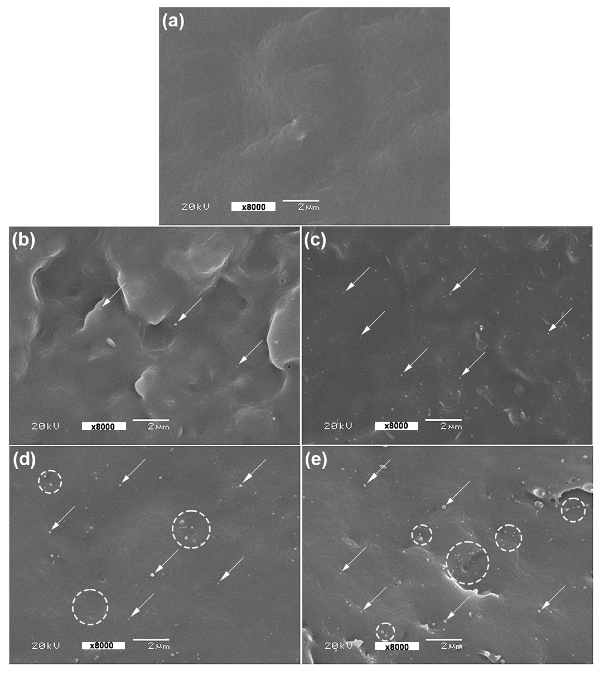 Polymers 16 01660 g007