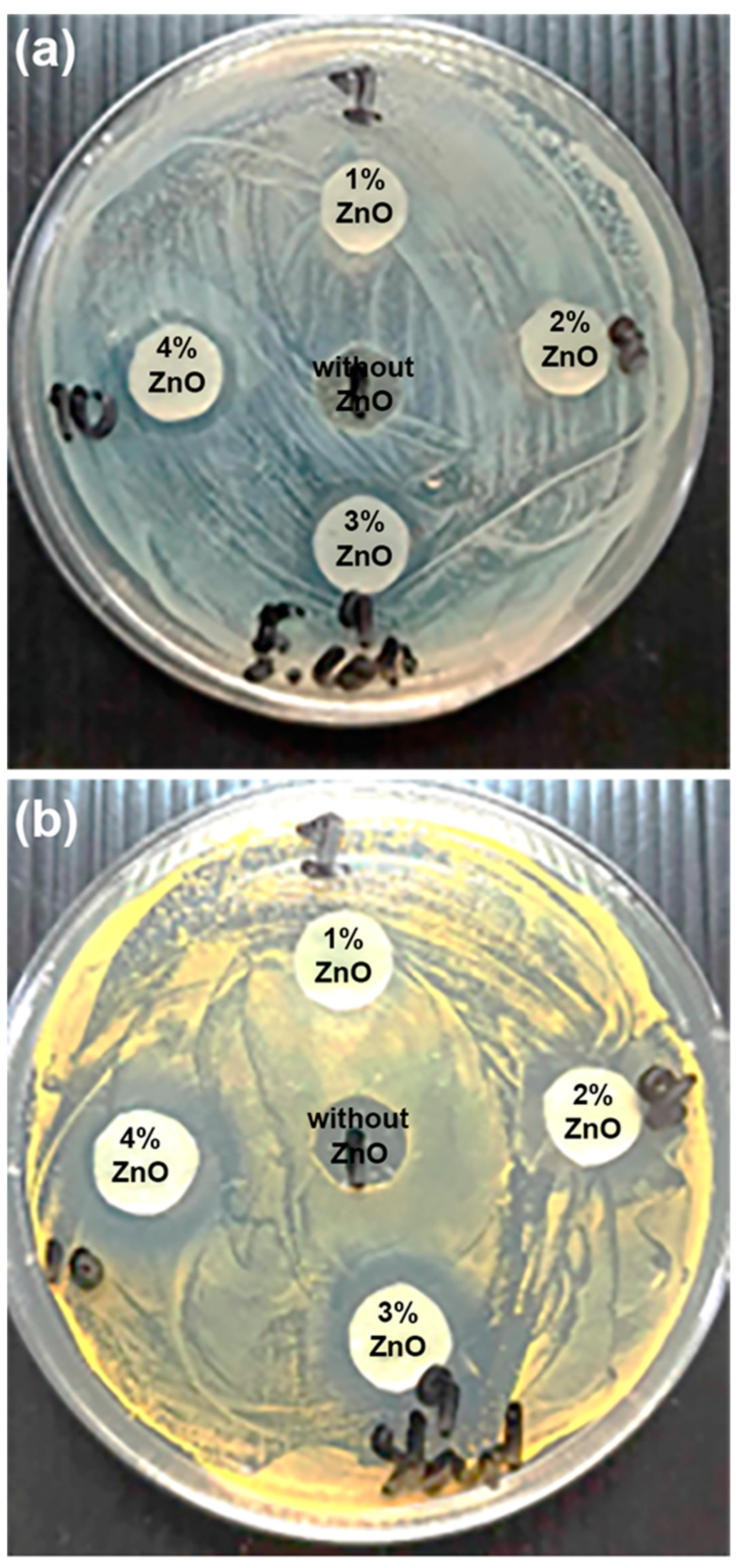 Polymers 16 01660 g013