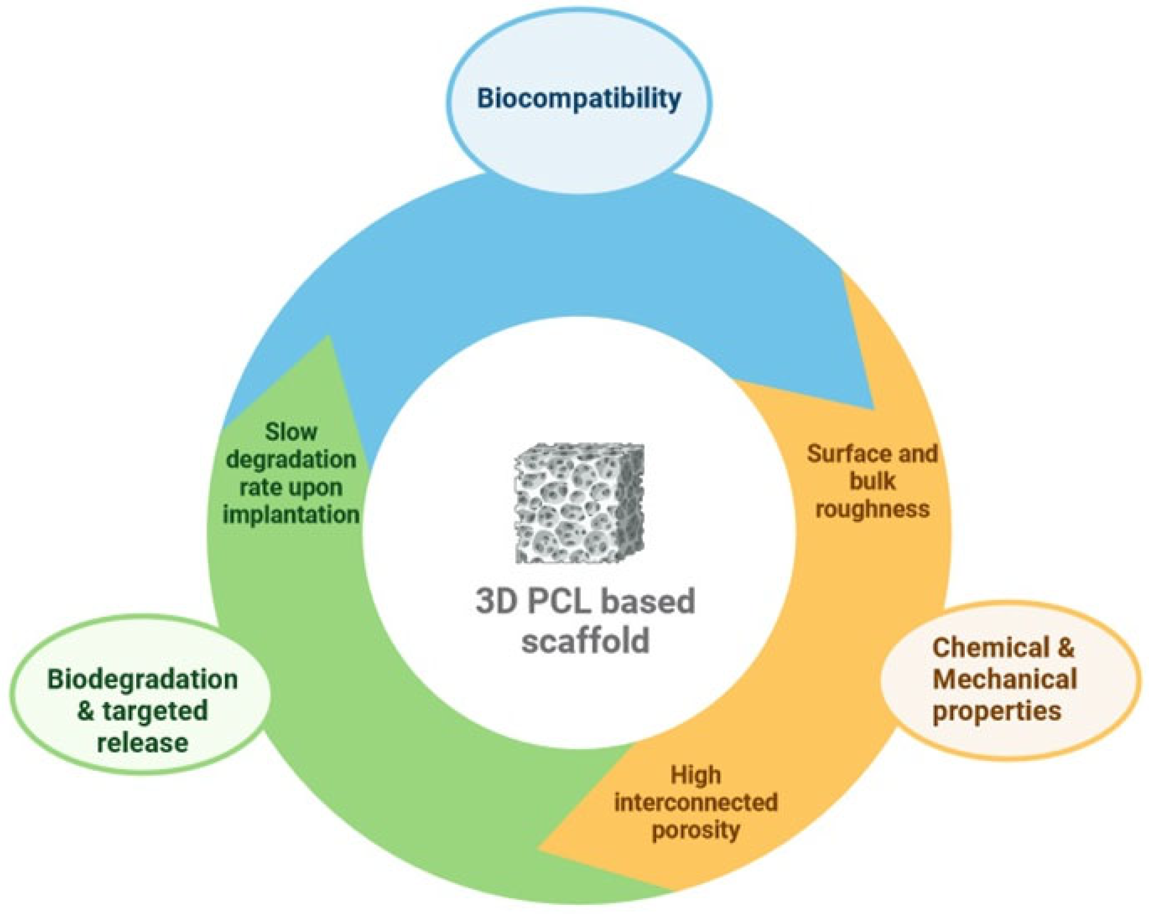Polymers 16 01668 g001