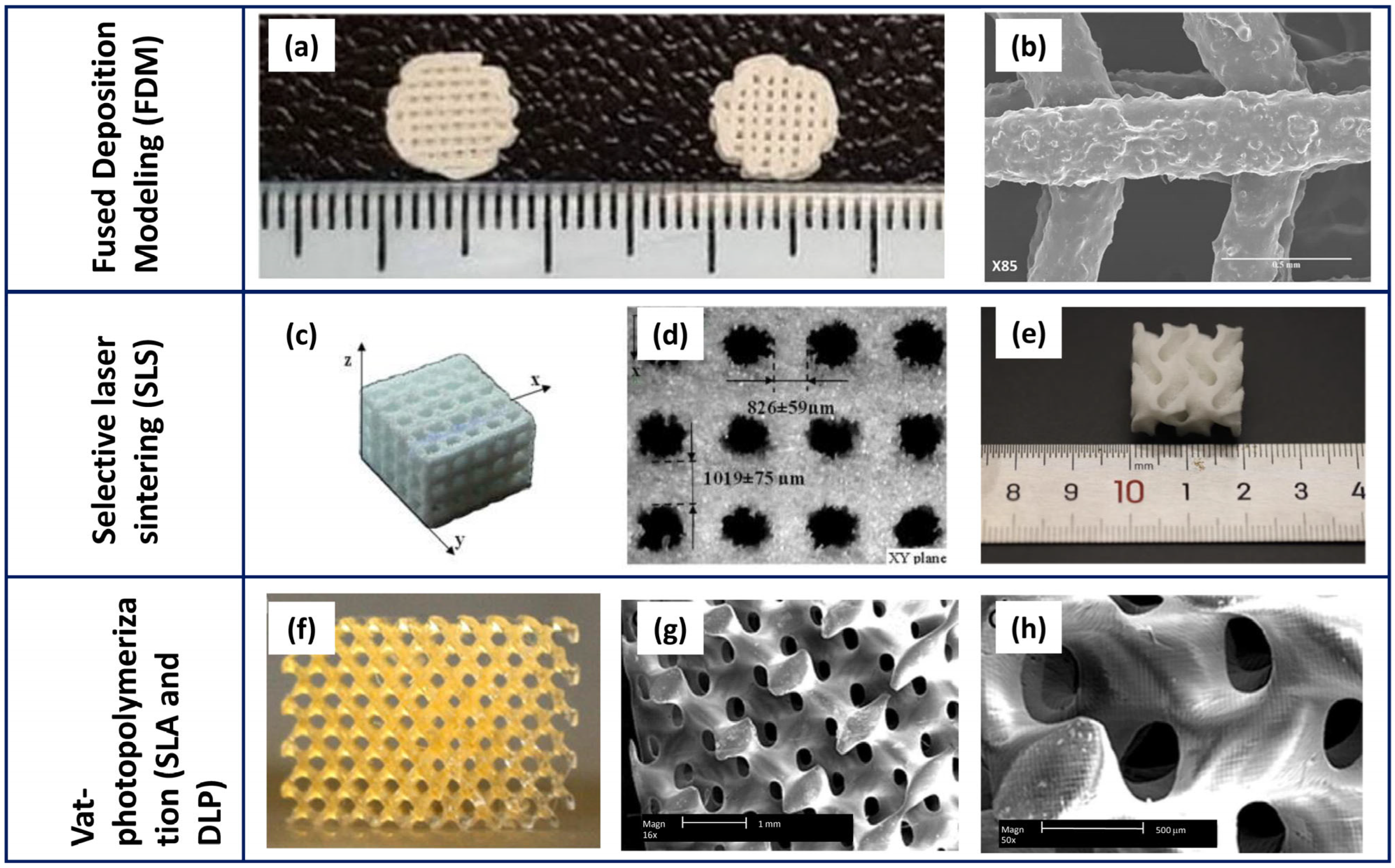 Polymers 16 01668 g004