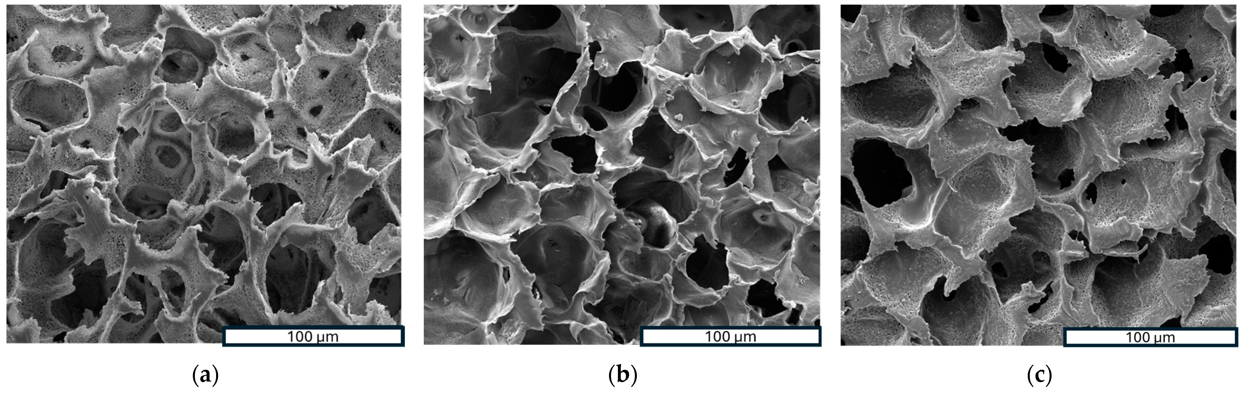Polymers 16 01672 g003a
