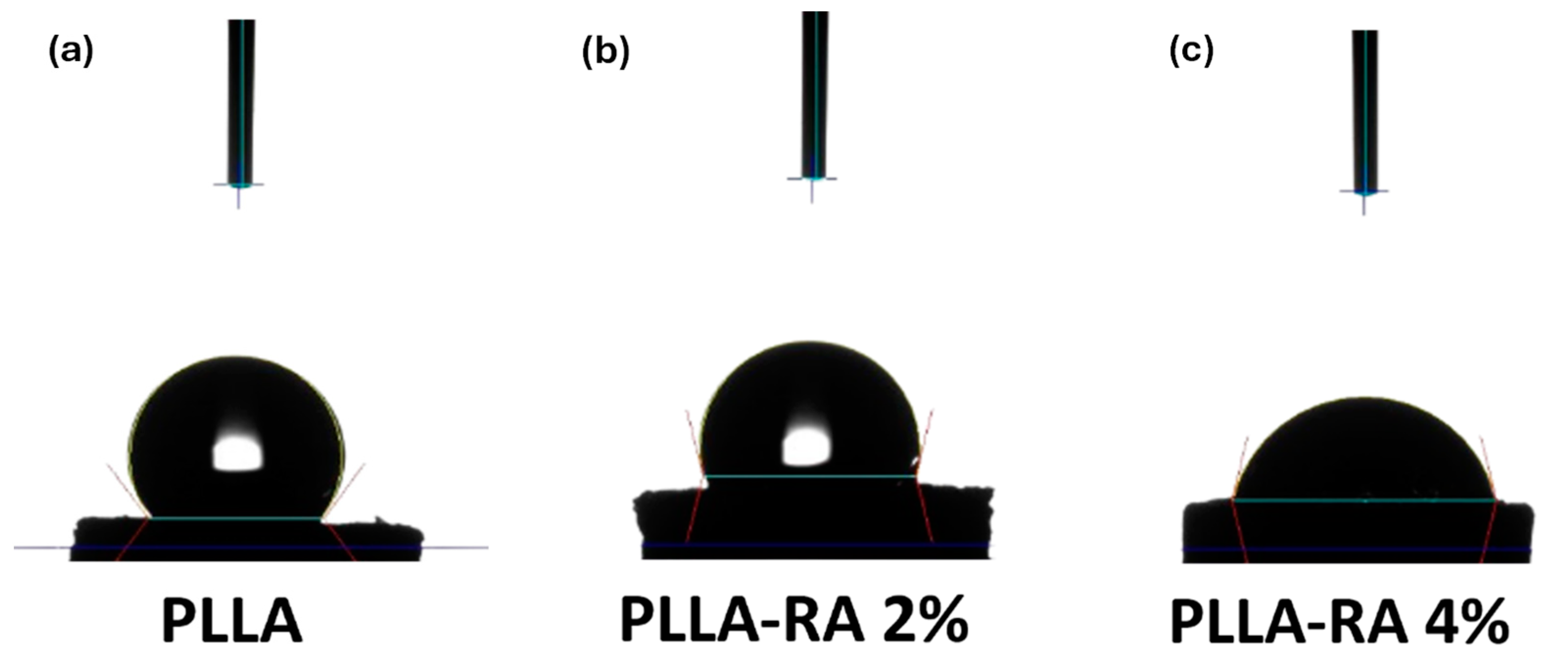 Polymers 16 01672 g007