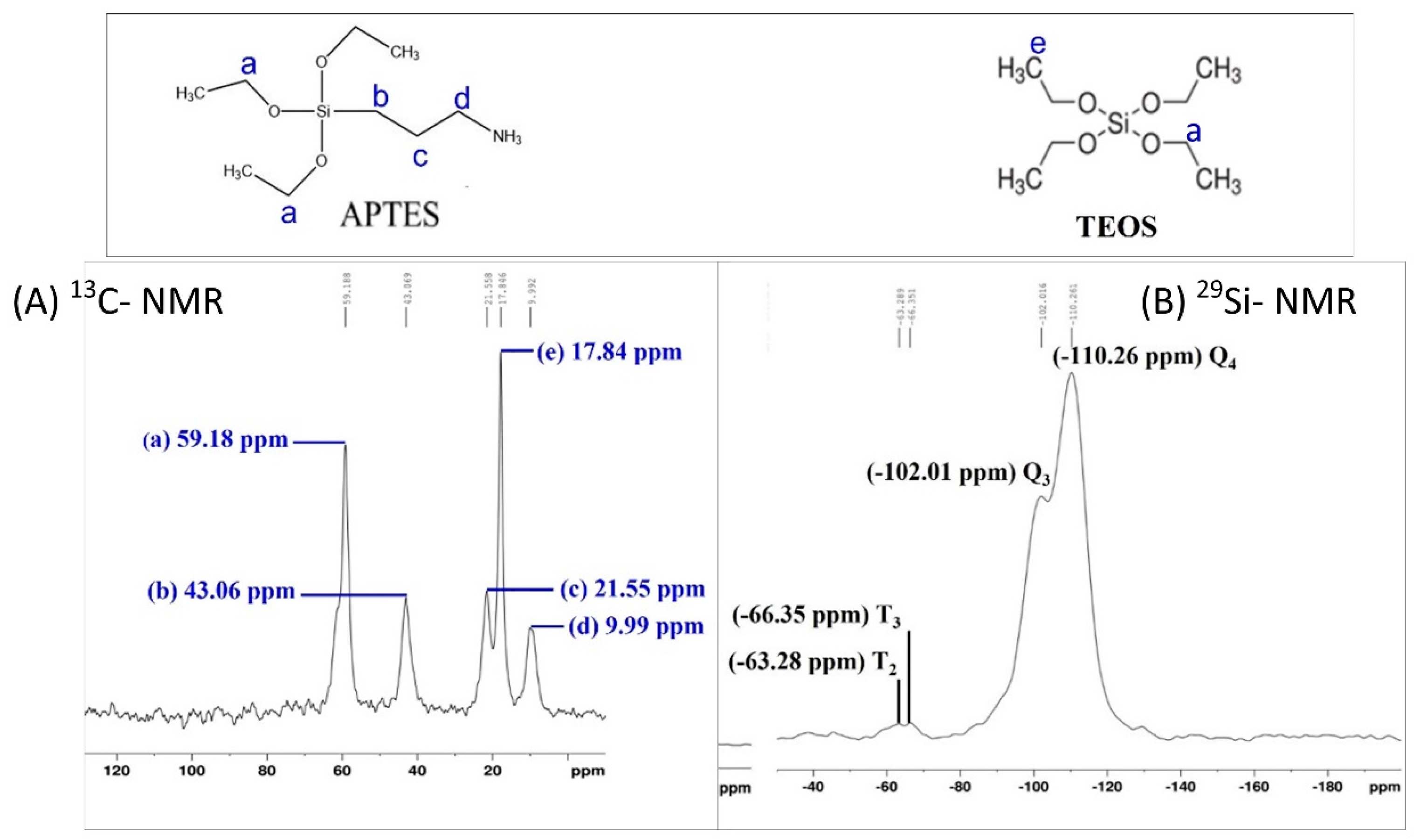 Polymers 16 01673 g002