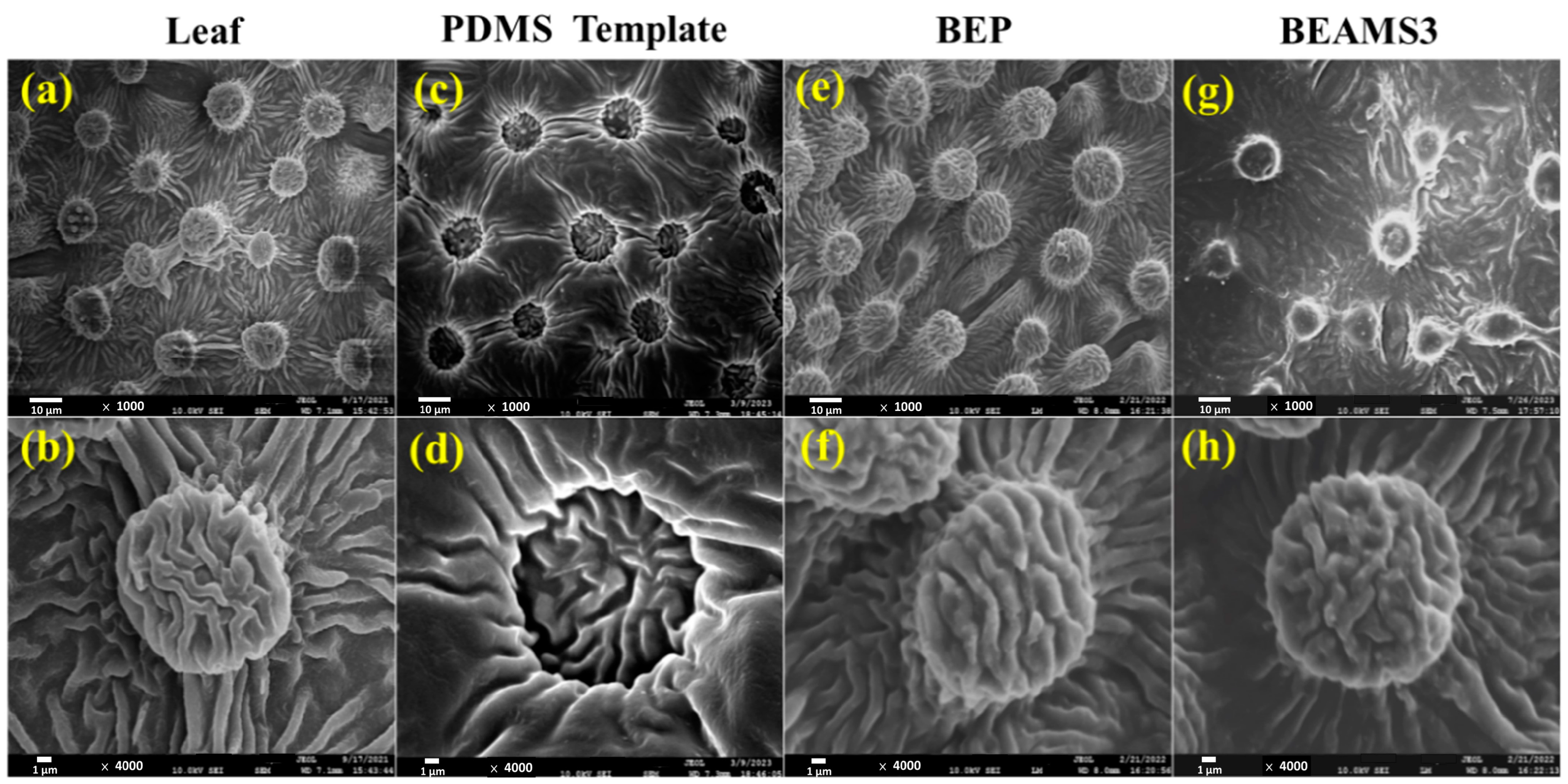 Polymers 16 01673 g005