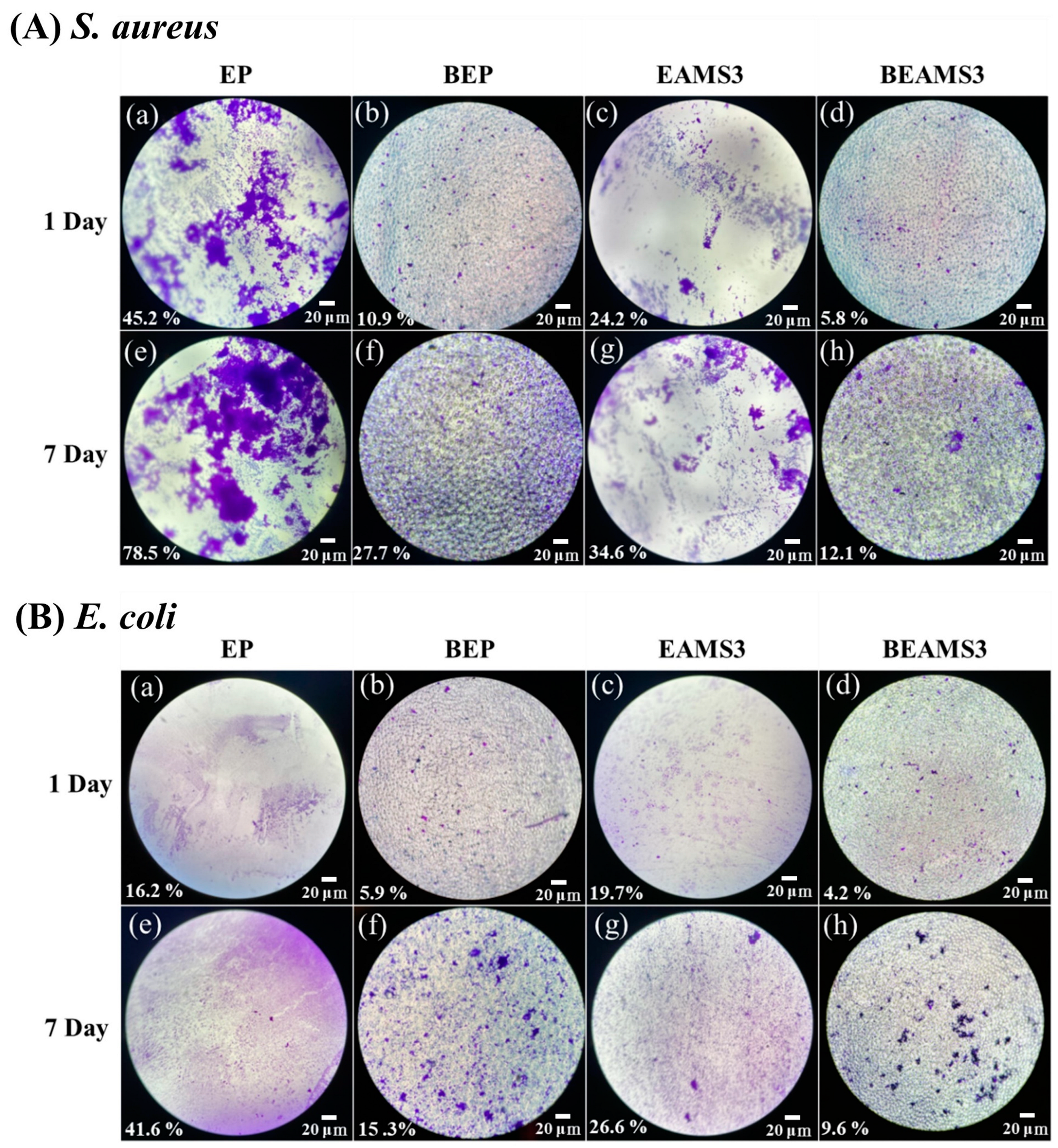 Polymers 16 01673 g013