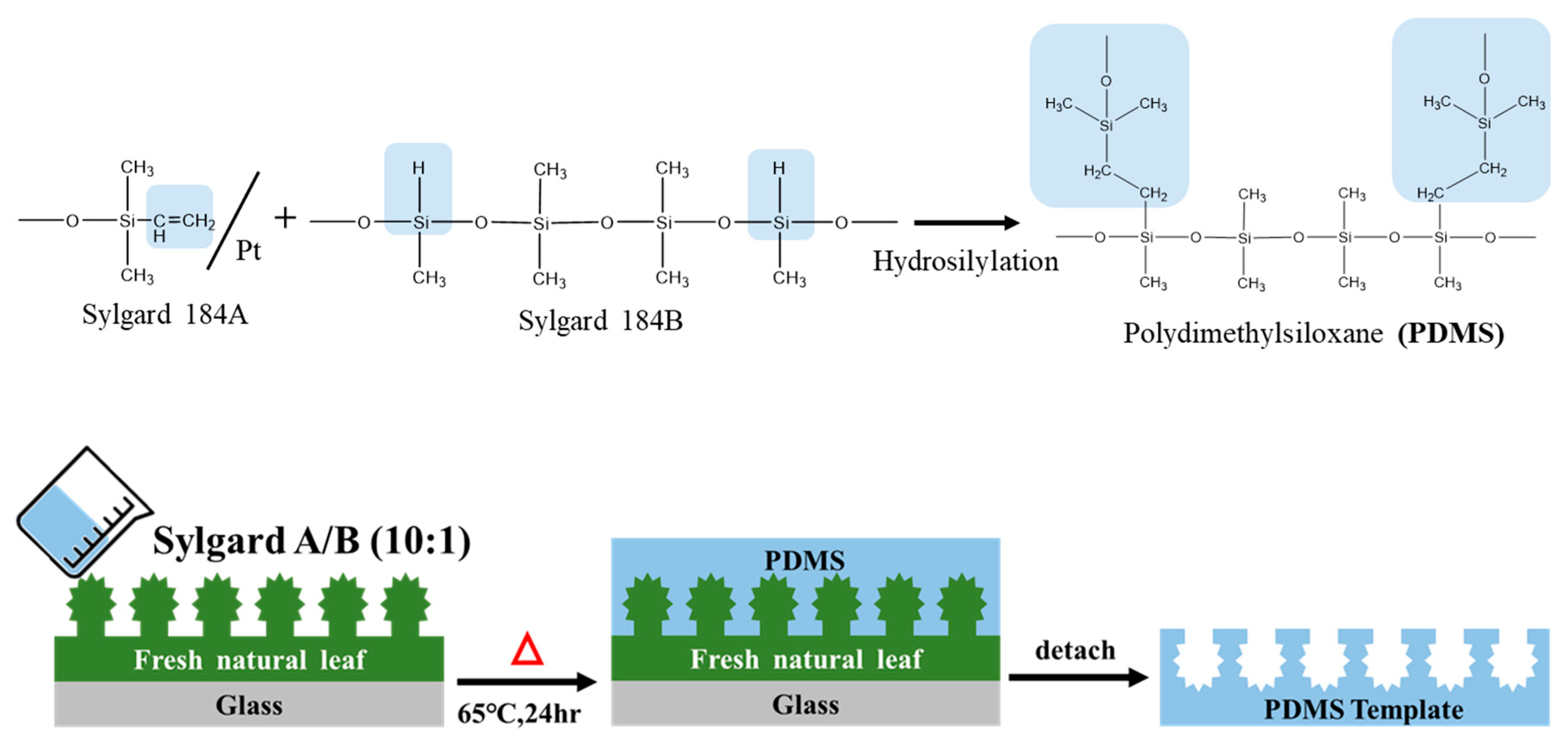 Polymers 16 01673 sch002