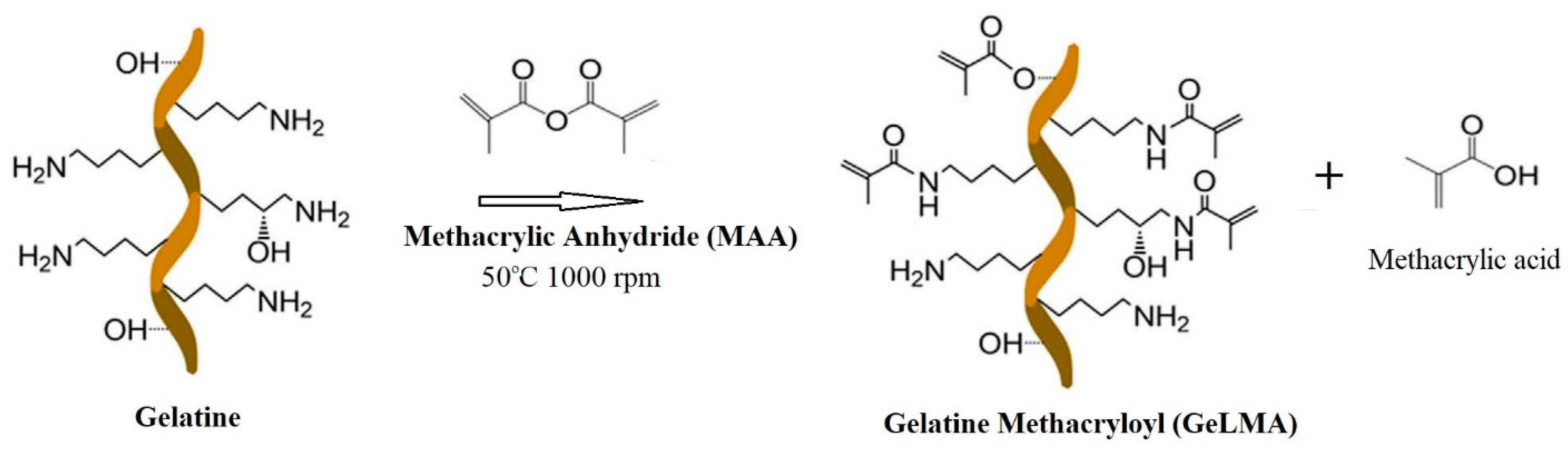 Polymers 16 01675 g001