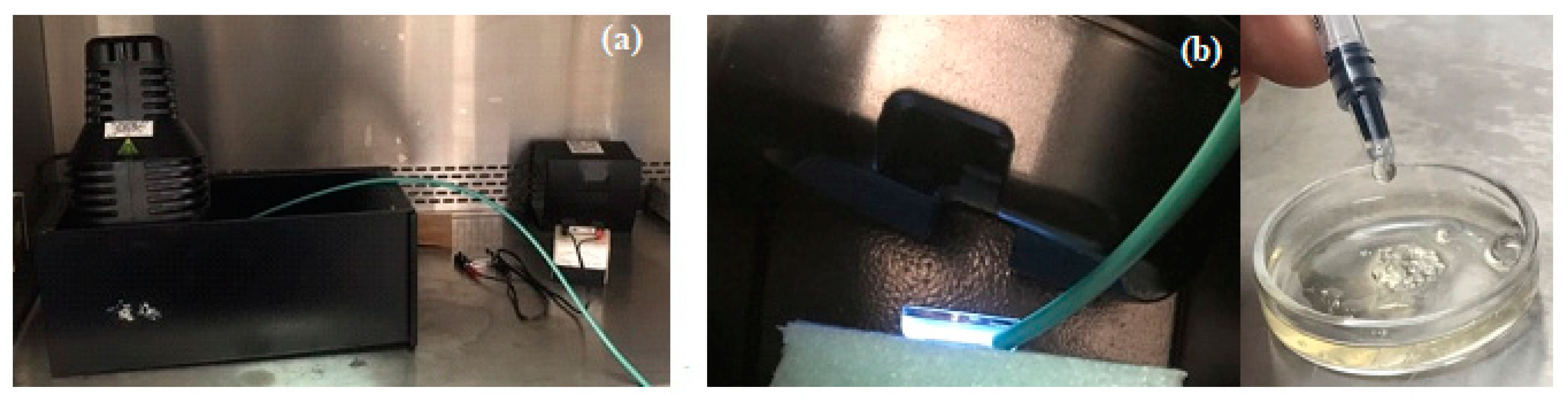 Polymers 16 01675 g002