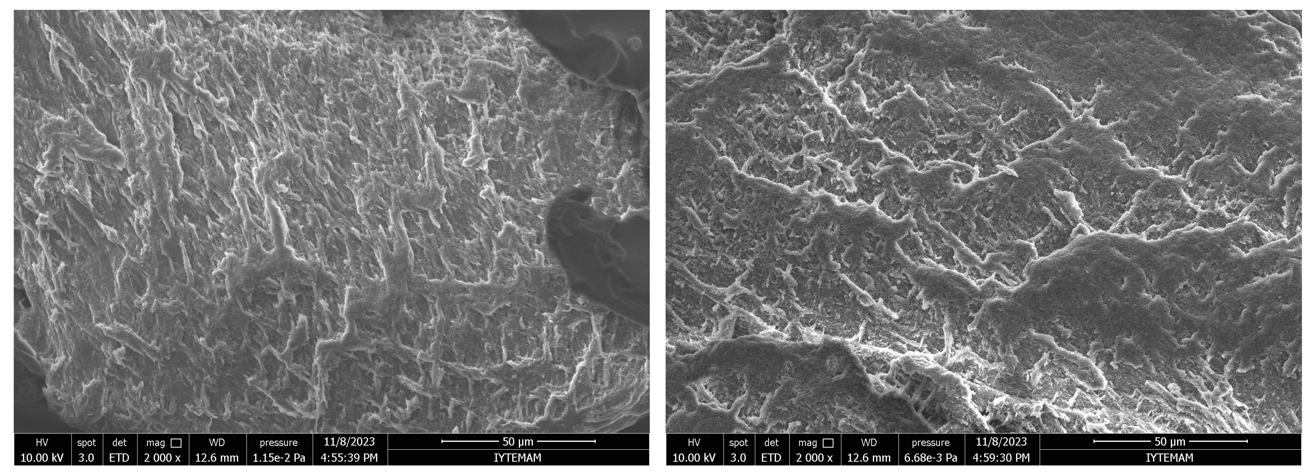 Polymers 16 01675 g004a
