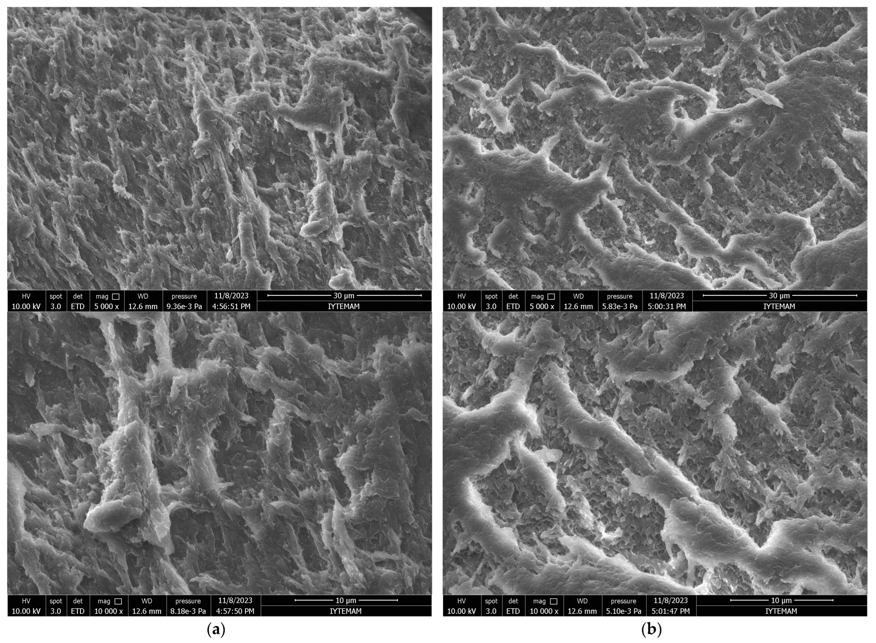Polymers 16 01675 g004b
