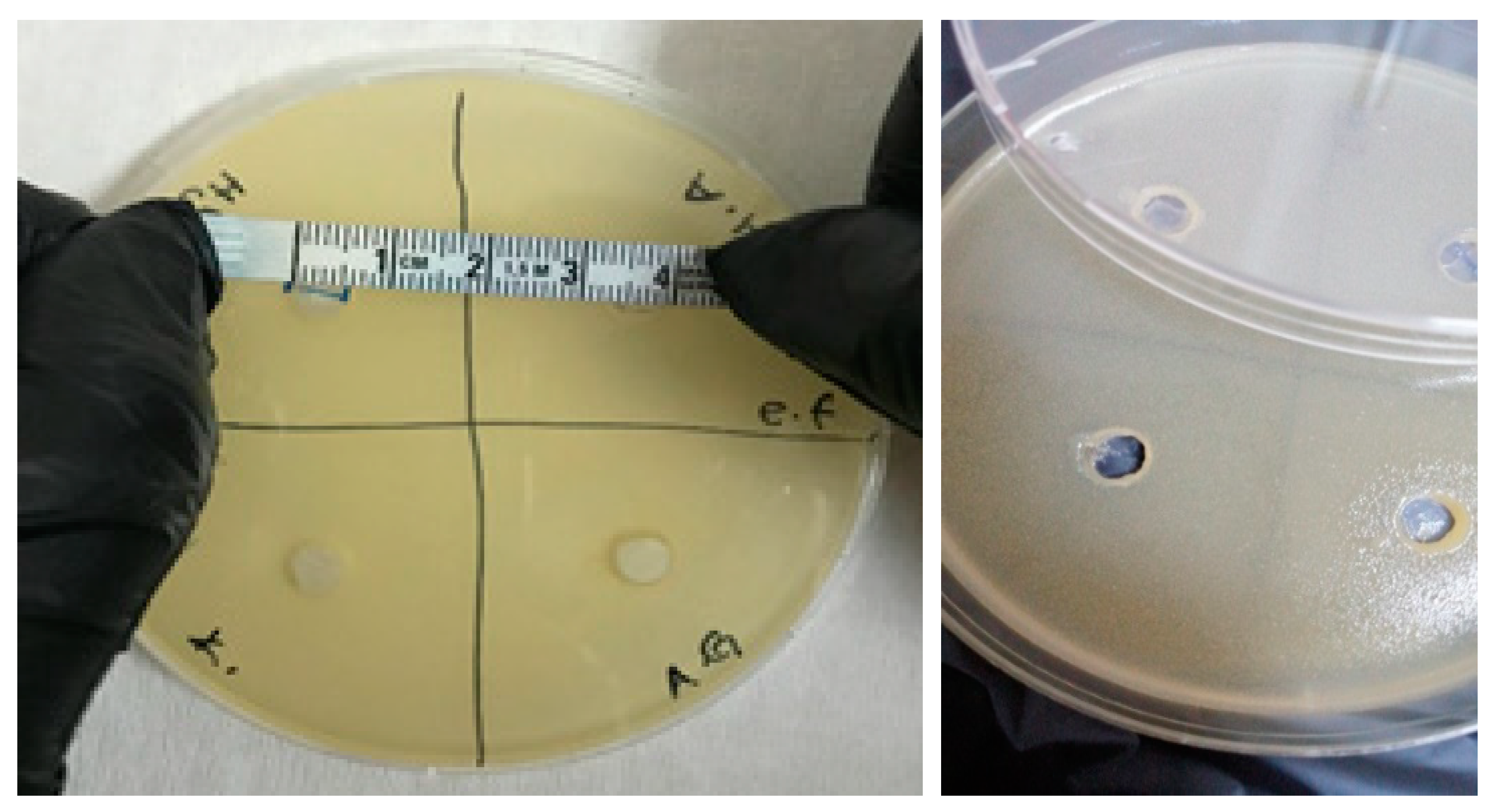 Polymers 16 01675 g009
