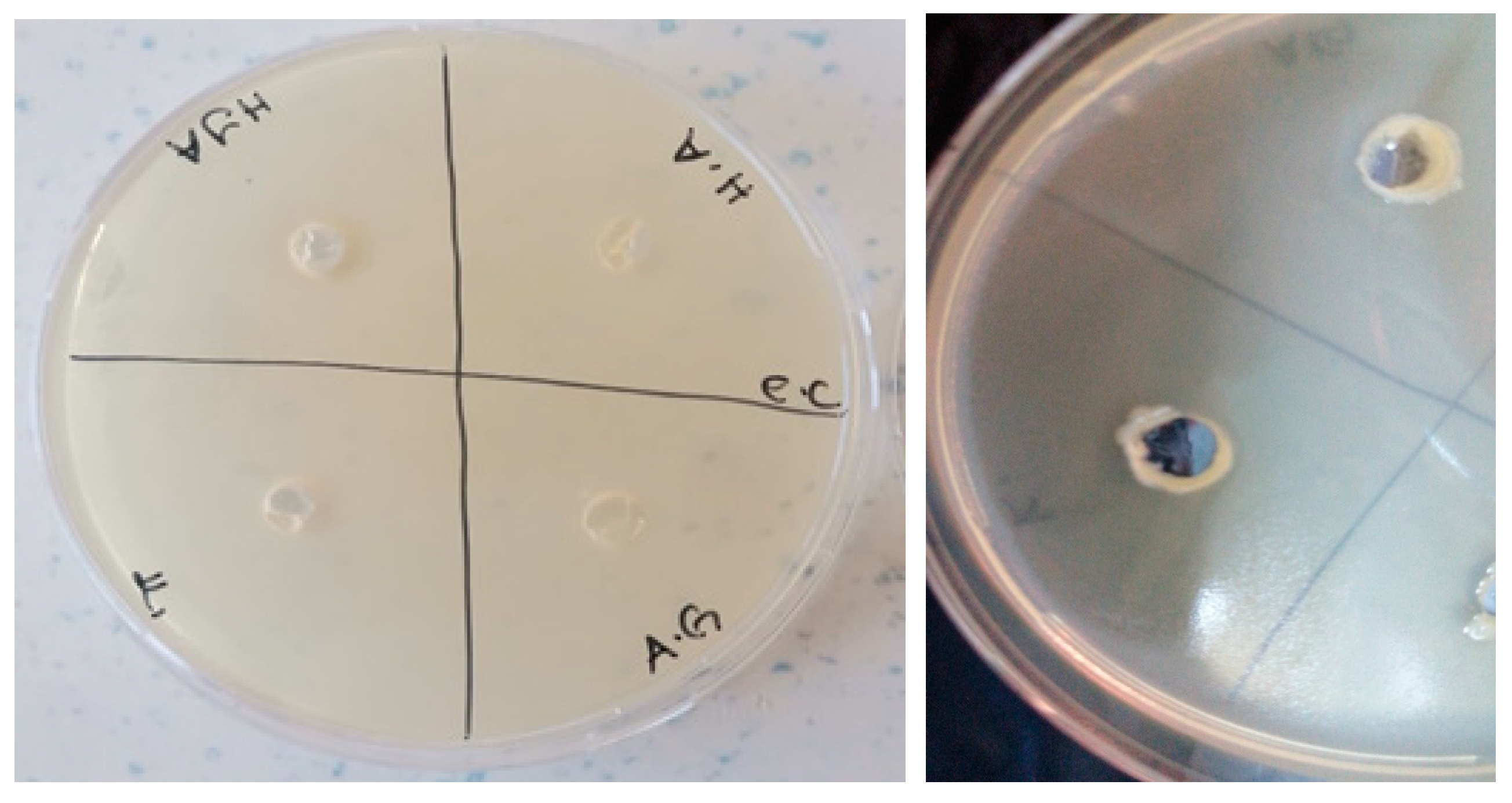 Polymers 16 01675 g011
