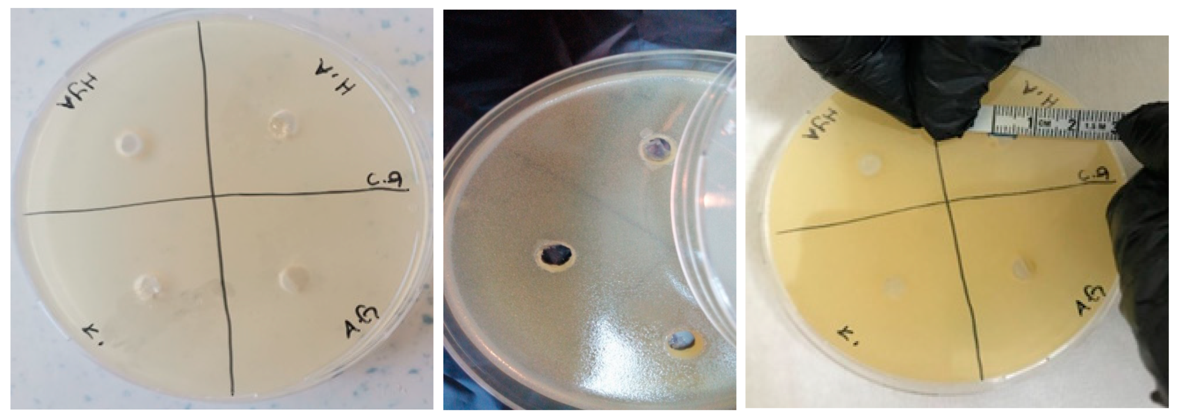 Polymers 16 01675 g013