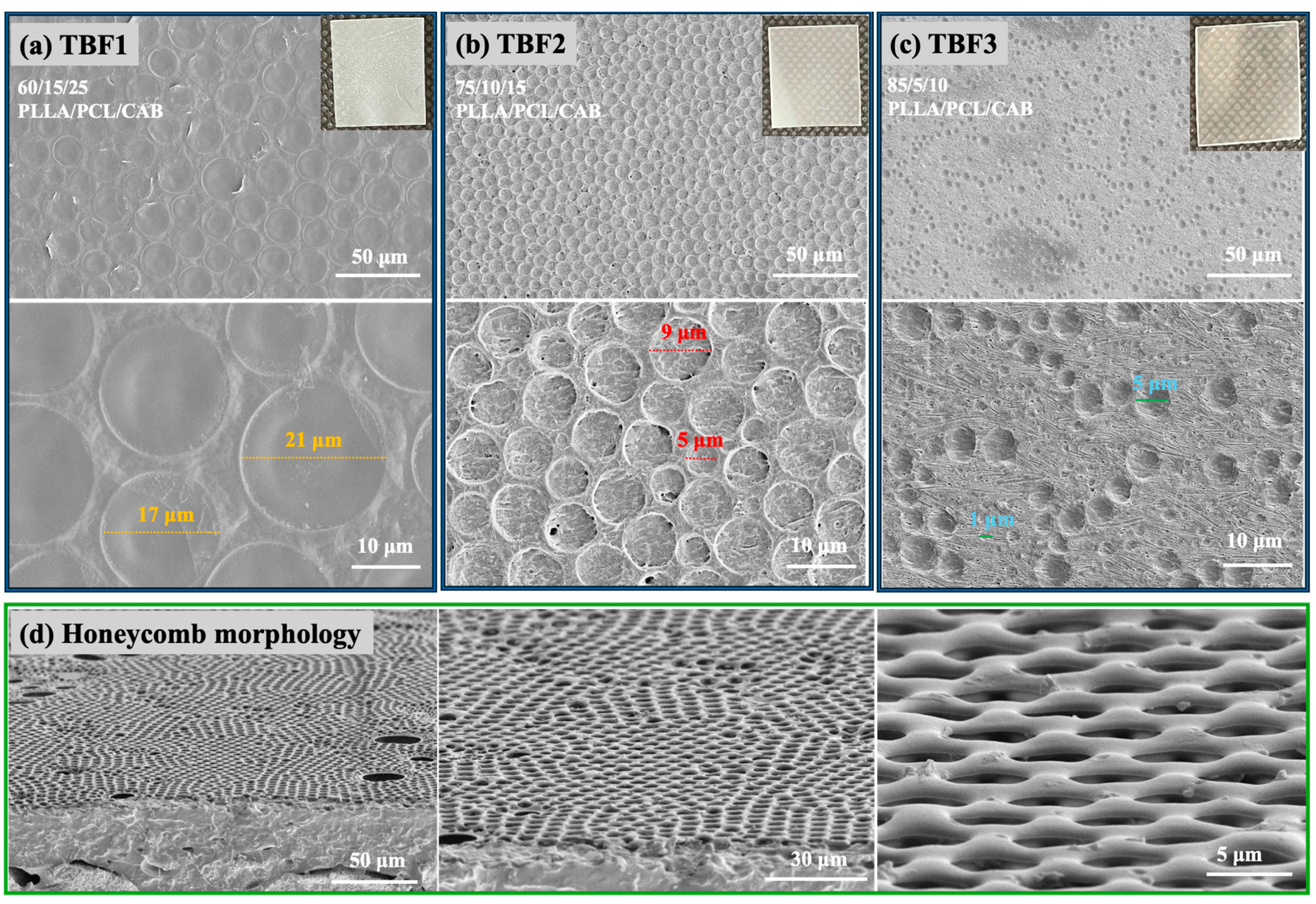 Polymers 16 01679 g002