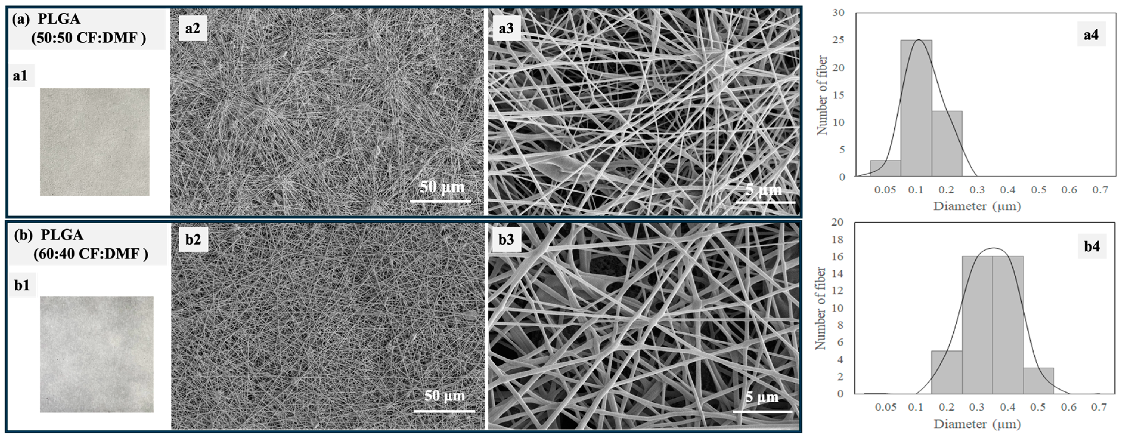 Polymers 16 01679 g005