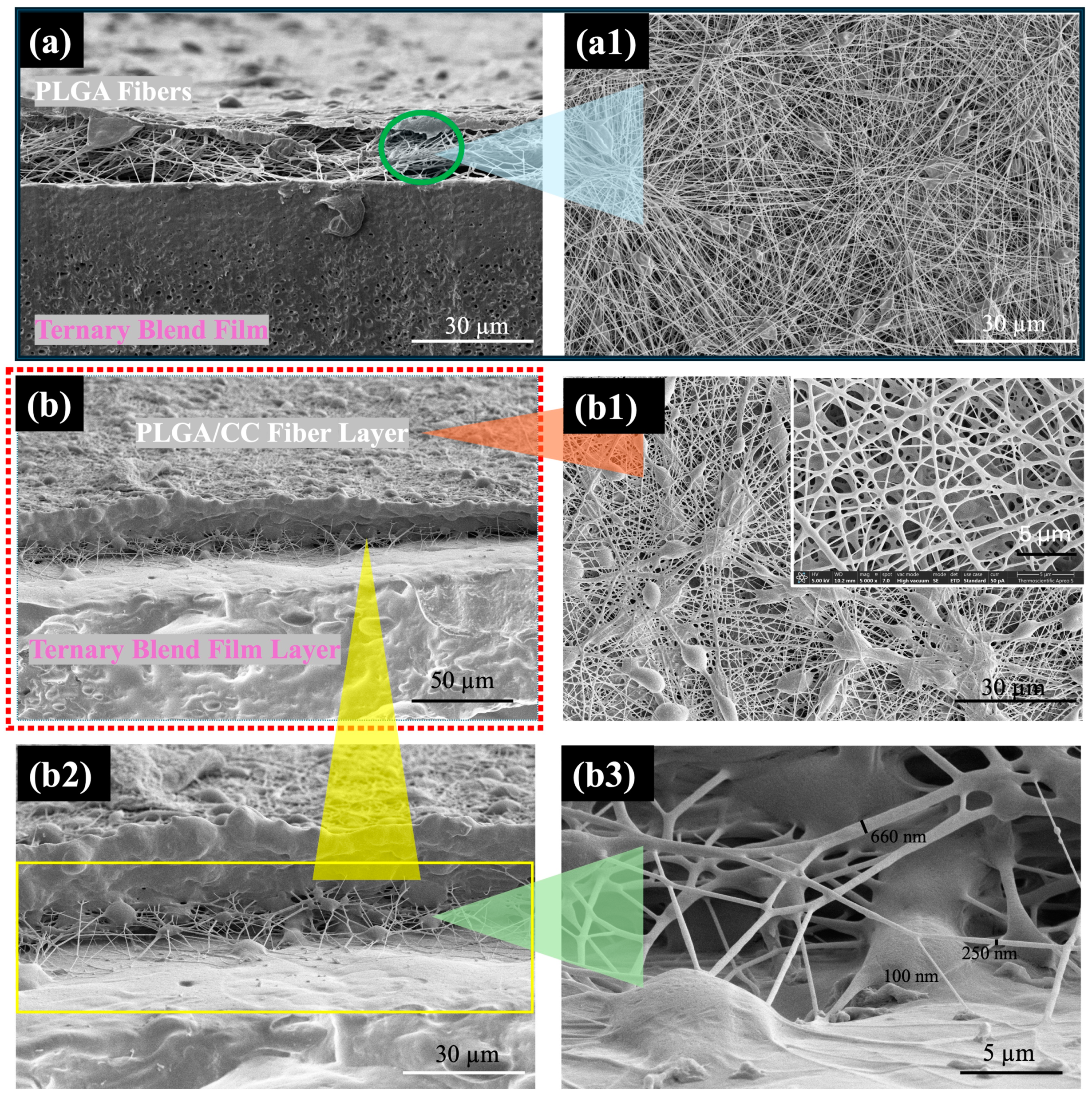 Polymers 16 01679 g008