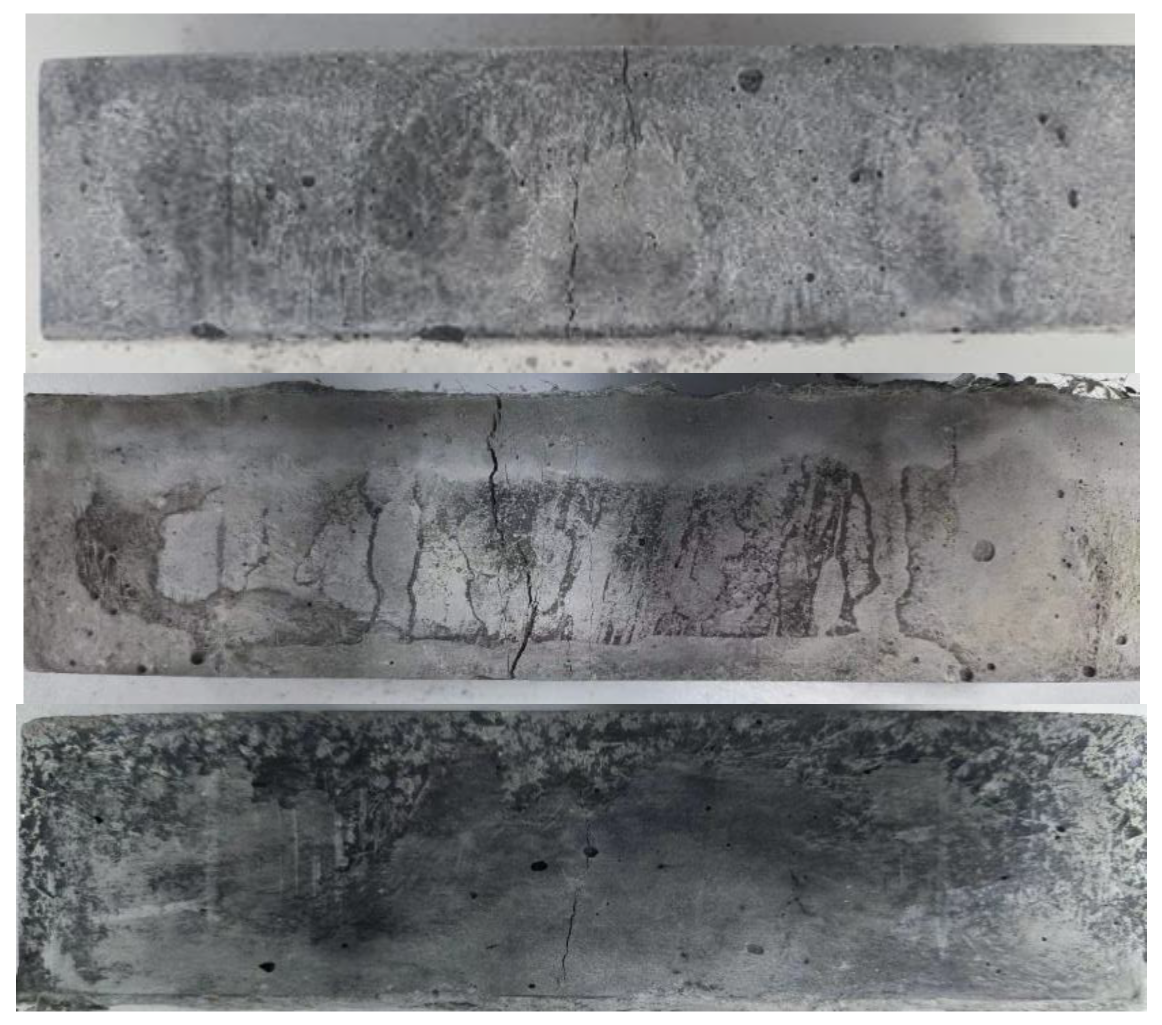 Polymers 16 01685 g006