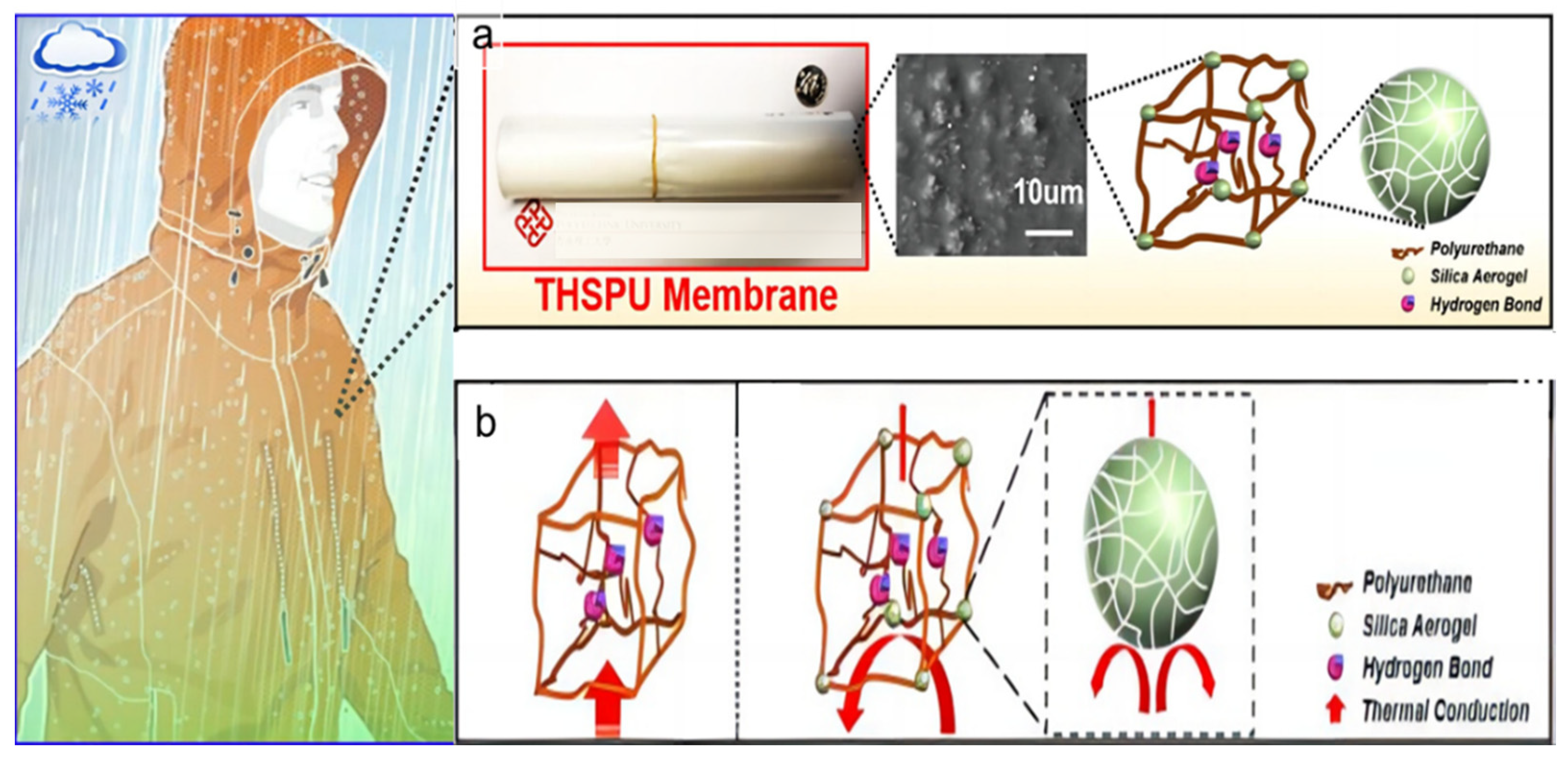 Polymers 16 01686 g007
