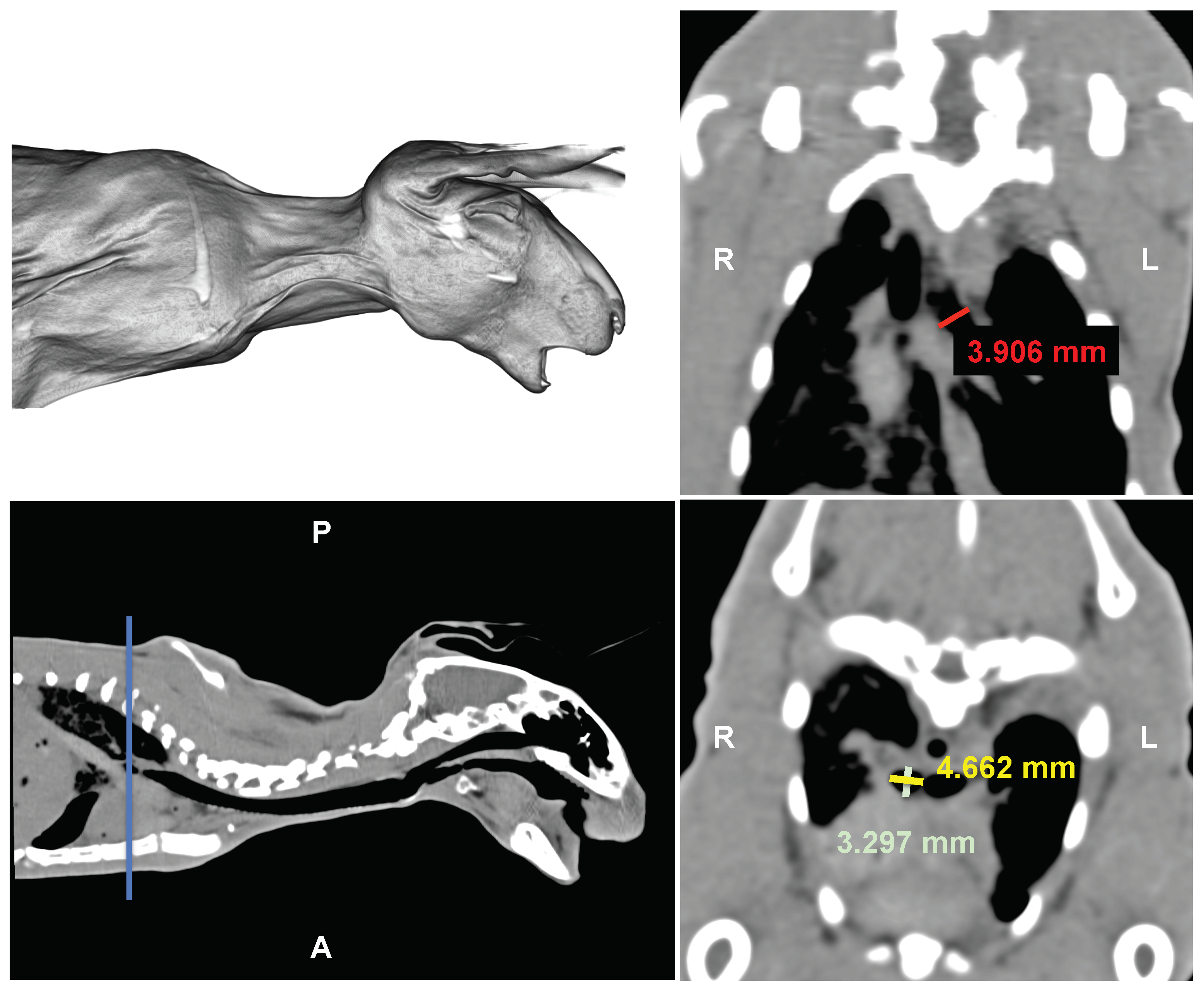 Polymers 16 01691 g004