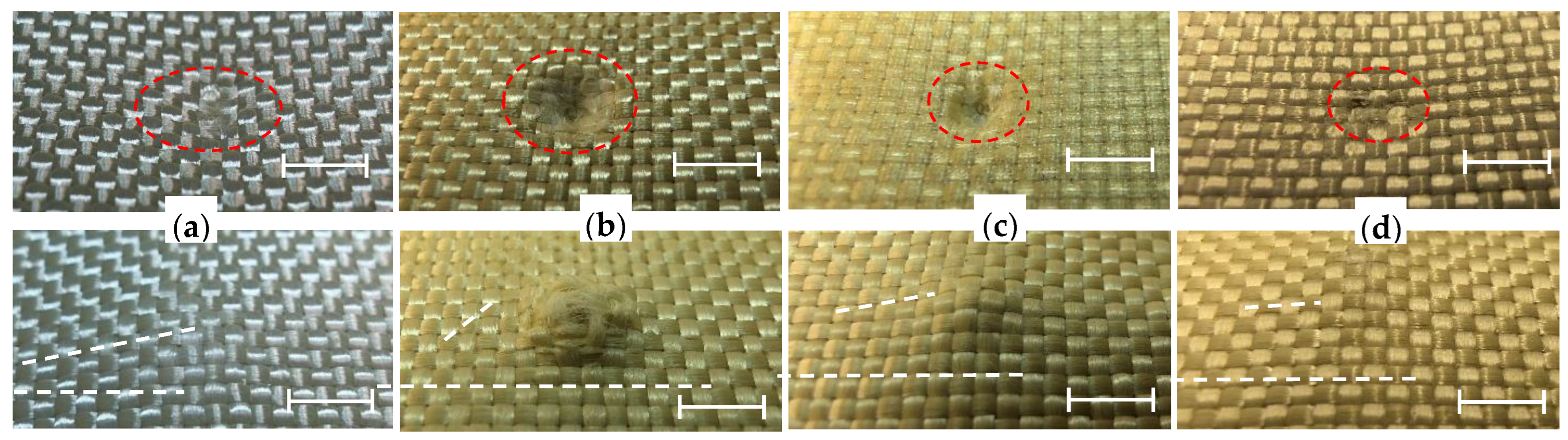 Polymers 16 01693 g006