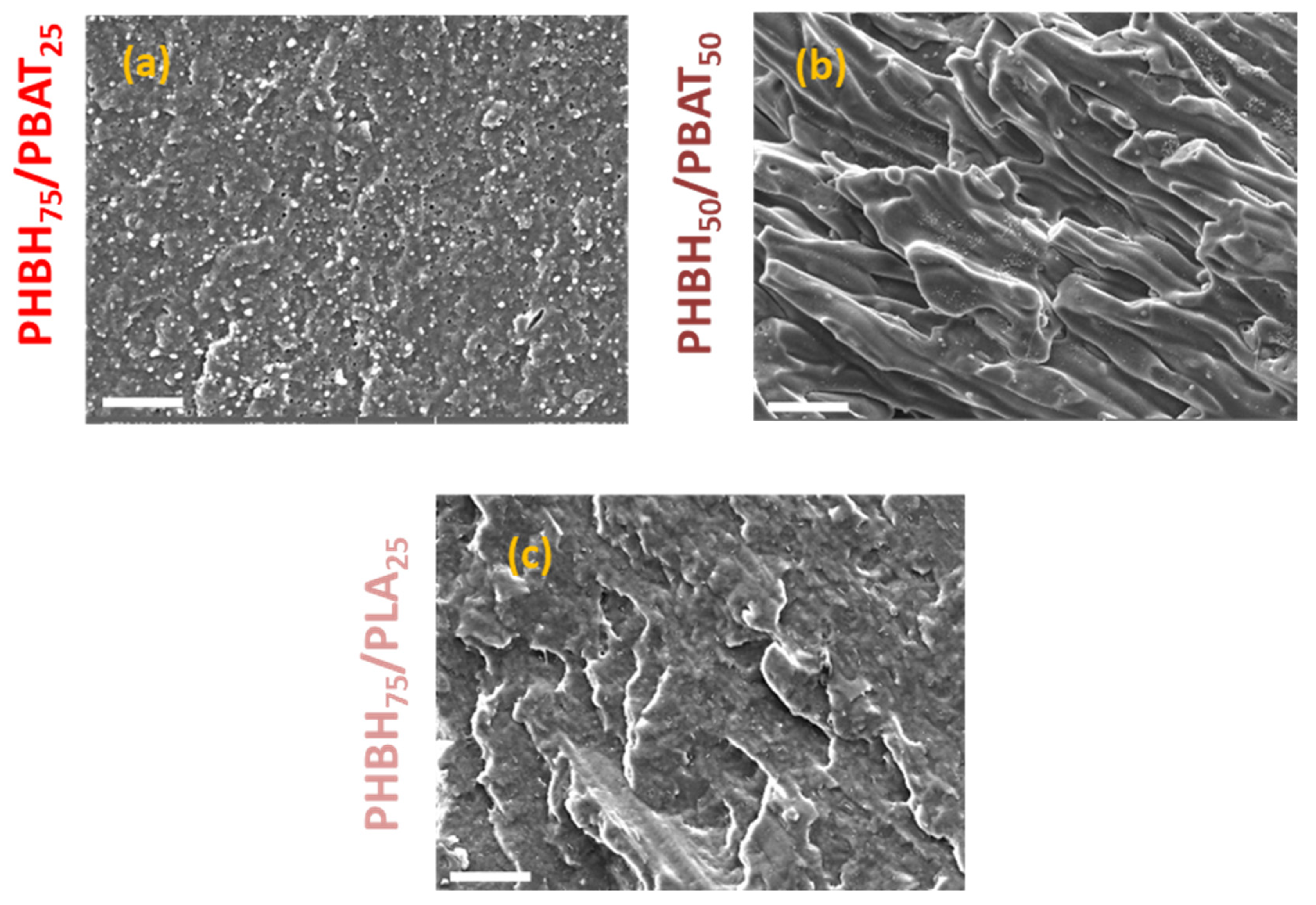 Polymers 16 01699 g007