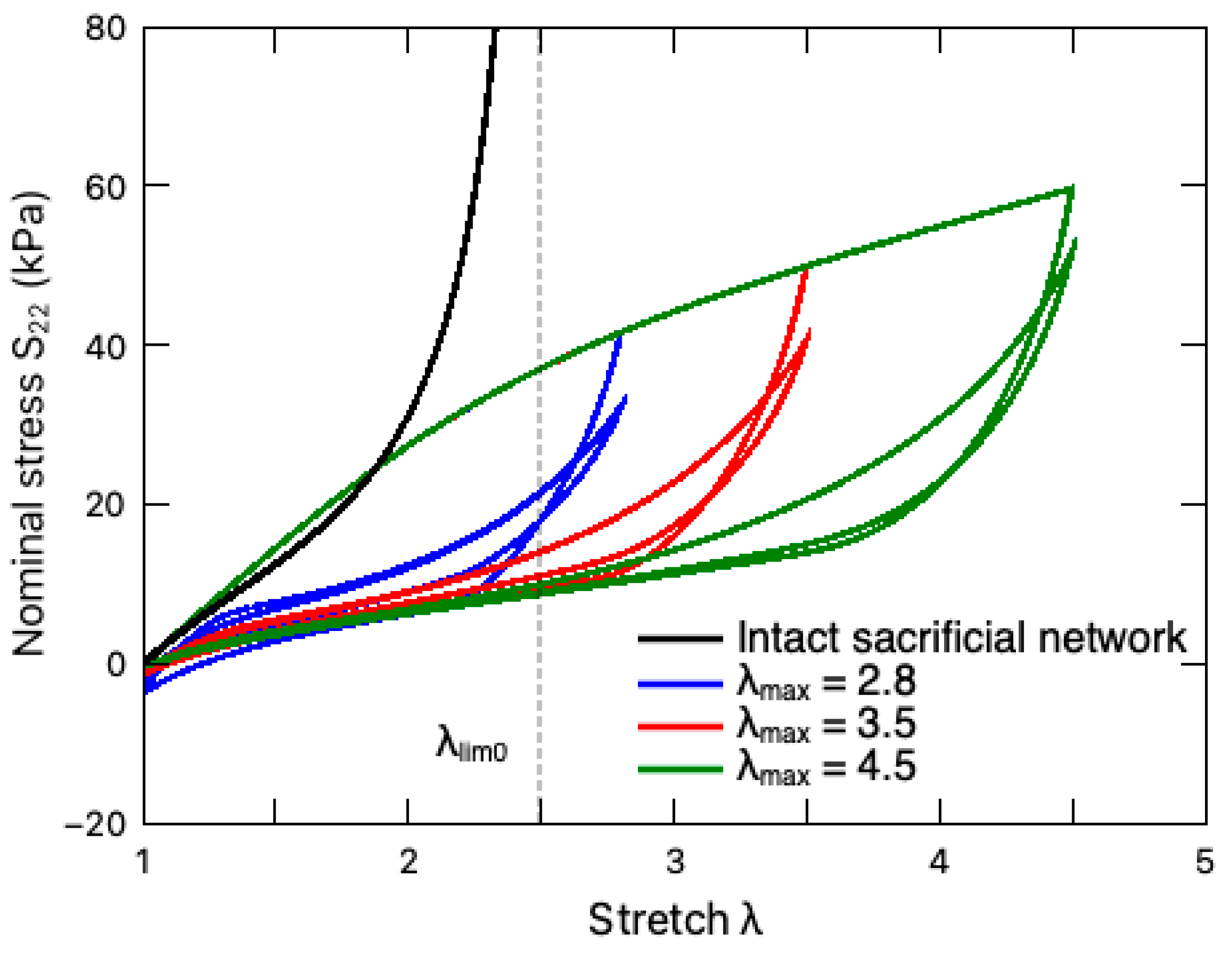 Polymers 16 01700 g005