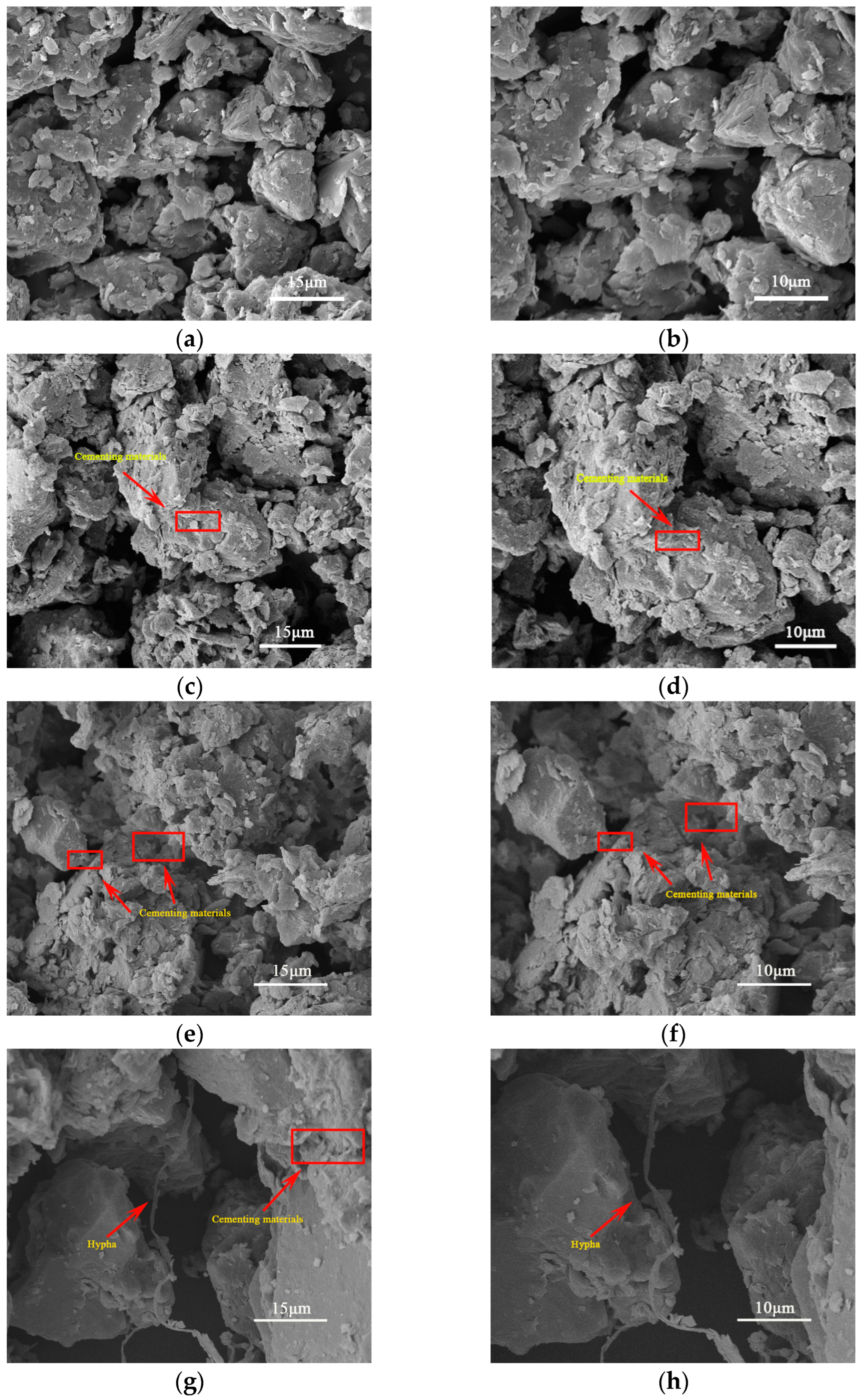 Polymers 16 01701 g007