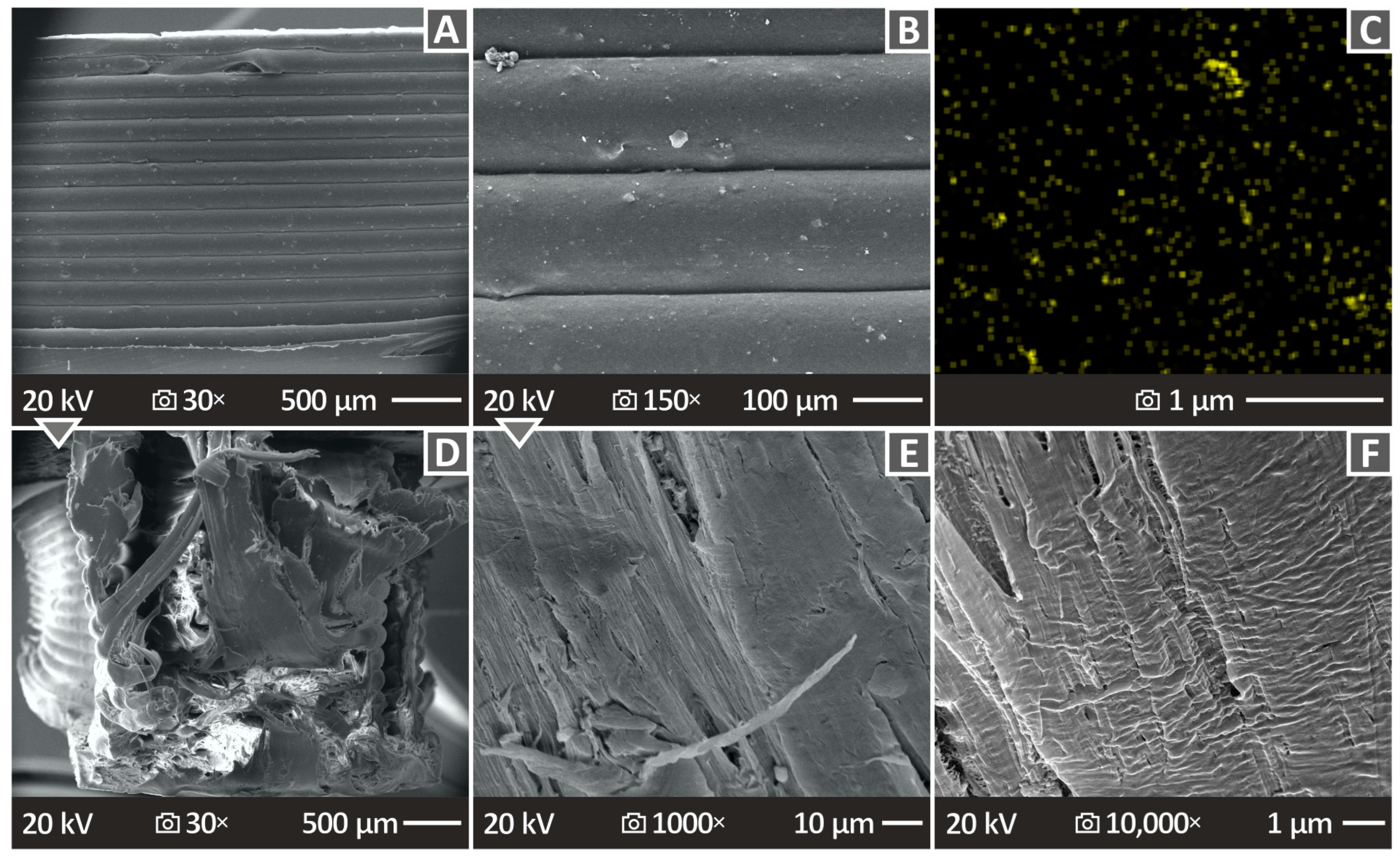 Polymers 16 01702 g014