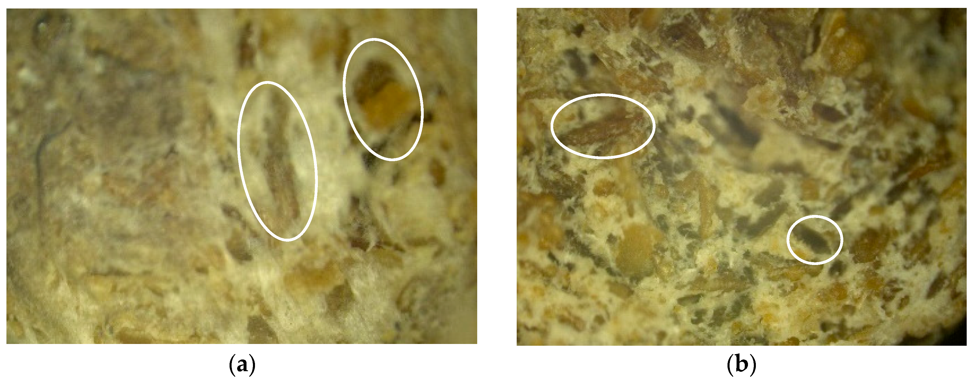 Polymers 16 01703 g012