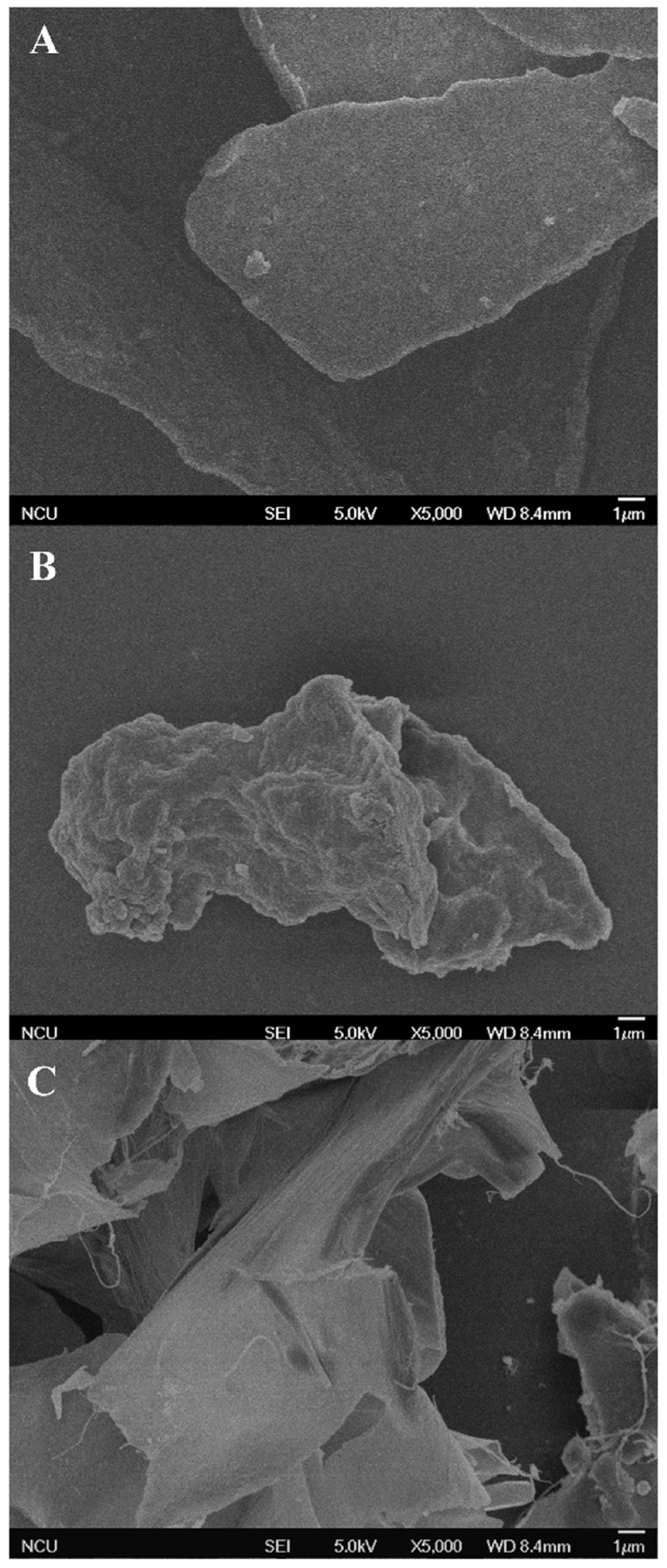 Polymers 16 01705 g003