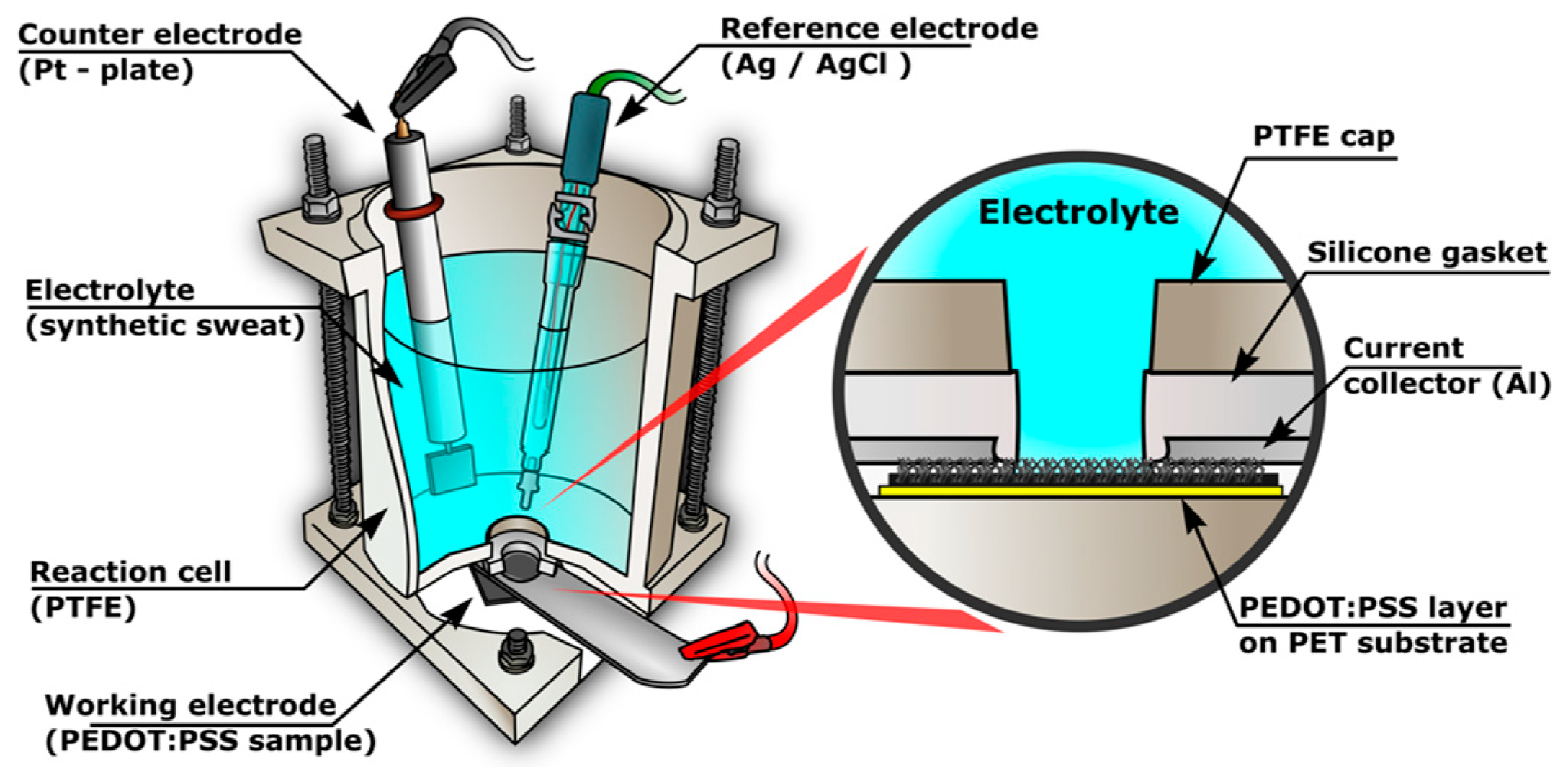 Polymers 16 01706 g002
