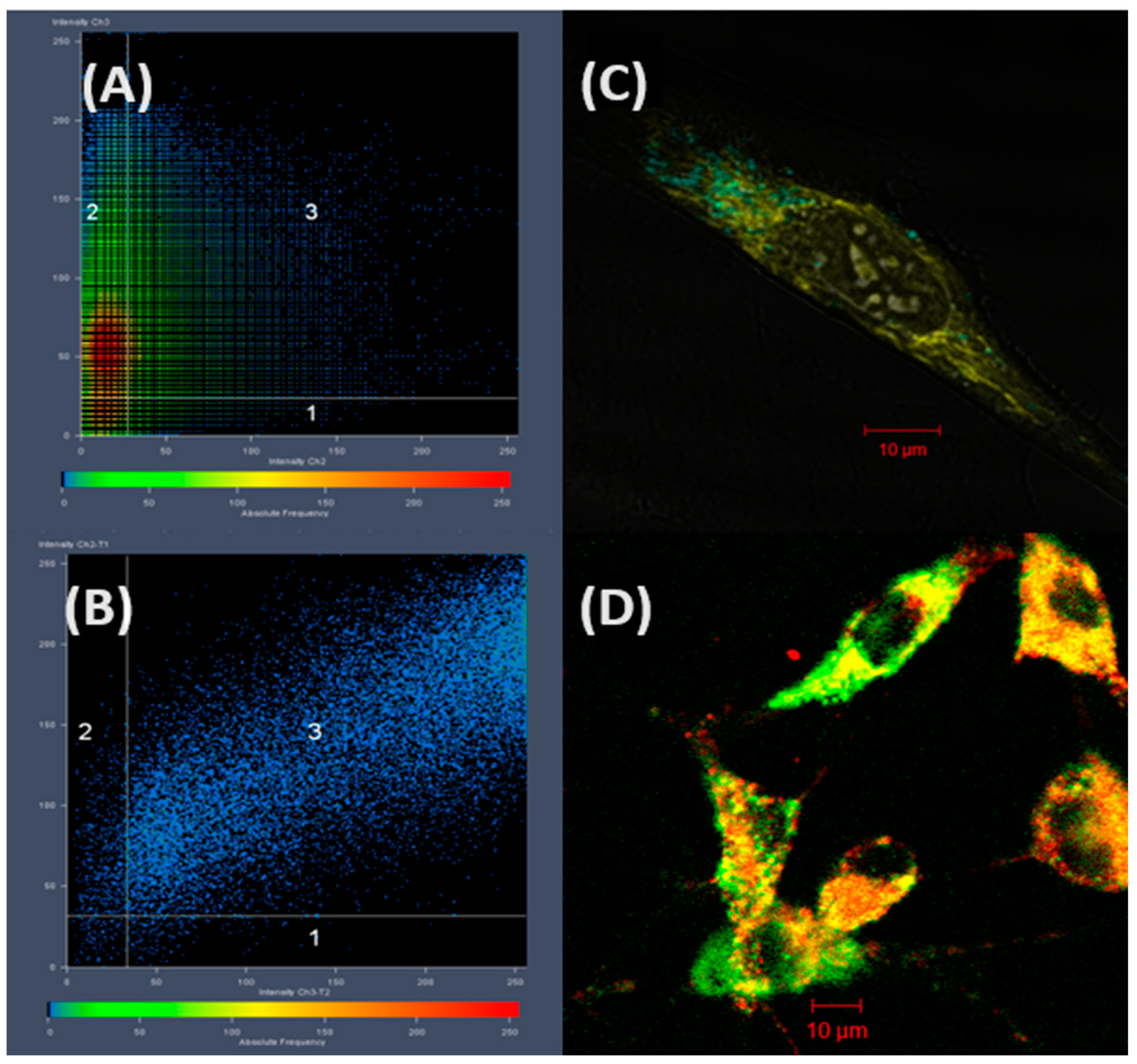 Polymers 16 01708 g009 Polymers 16 01708 g009