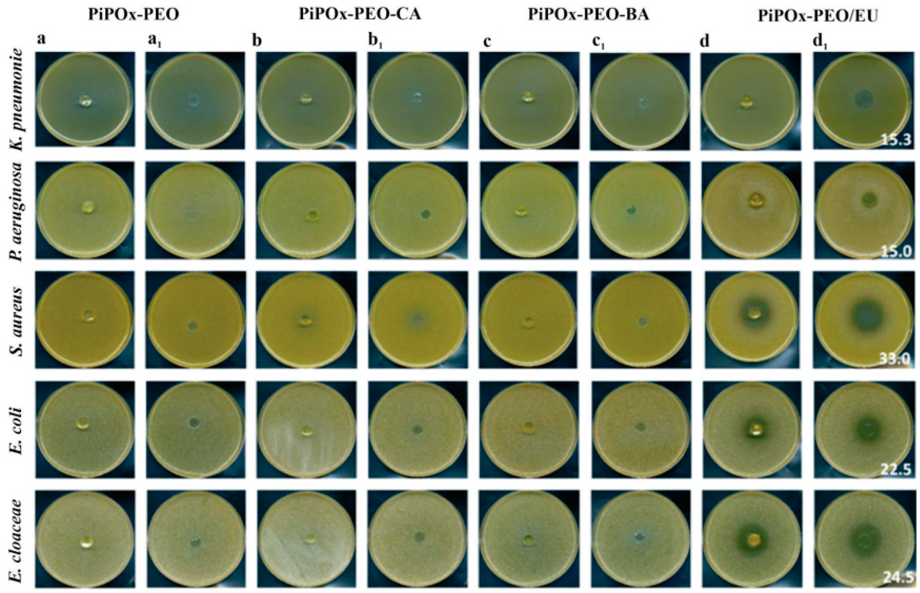 Polymers 16 01708 g019 Polymers 16 01708 g019