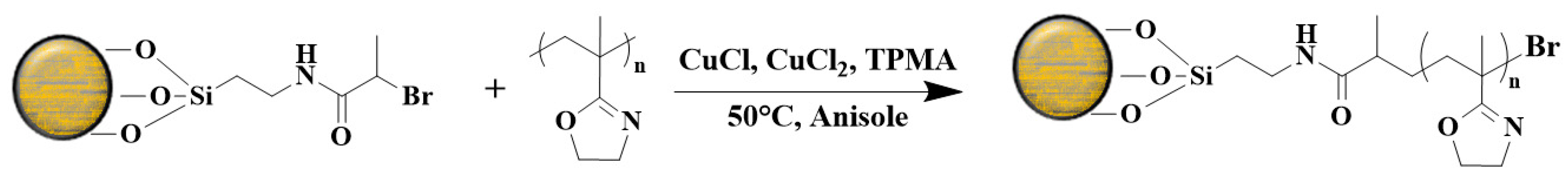 Polymers 16 01708 g021 Polymers 16 01708 g021