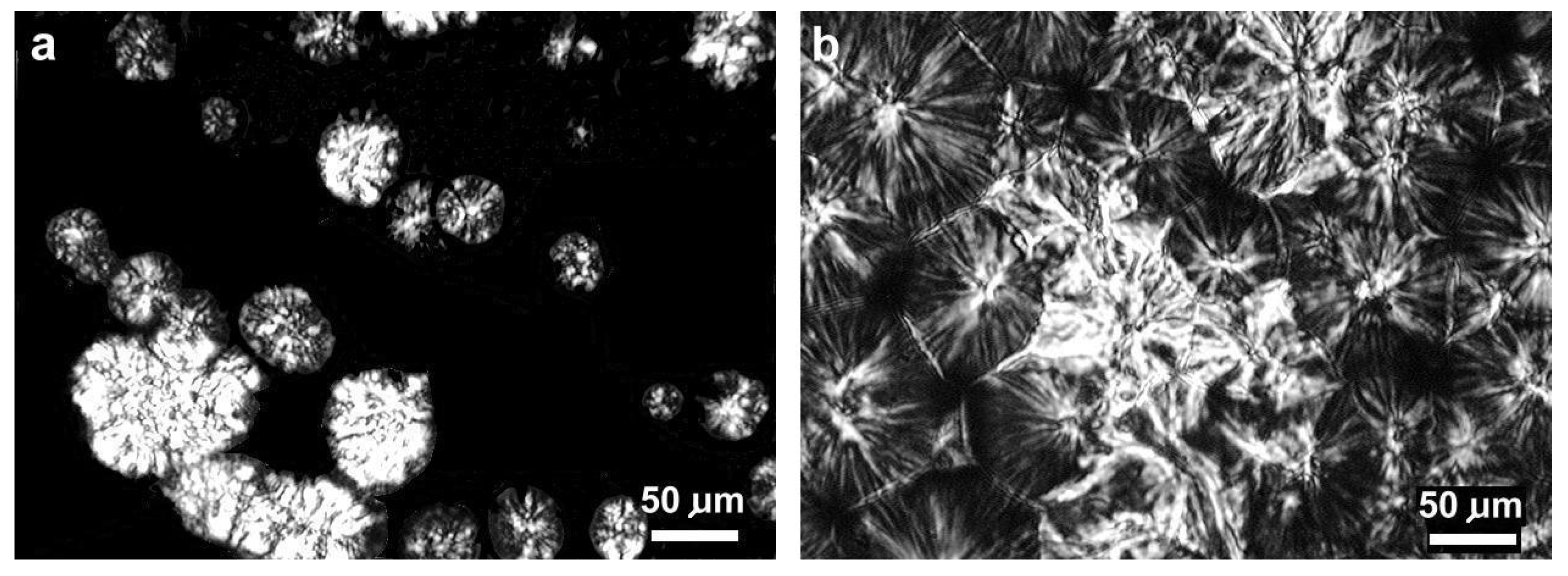 Polymers 16 01710 g005